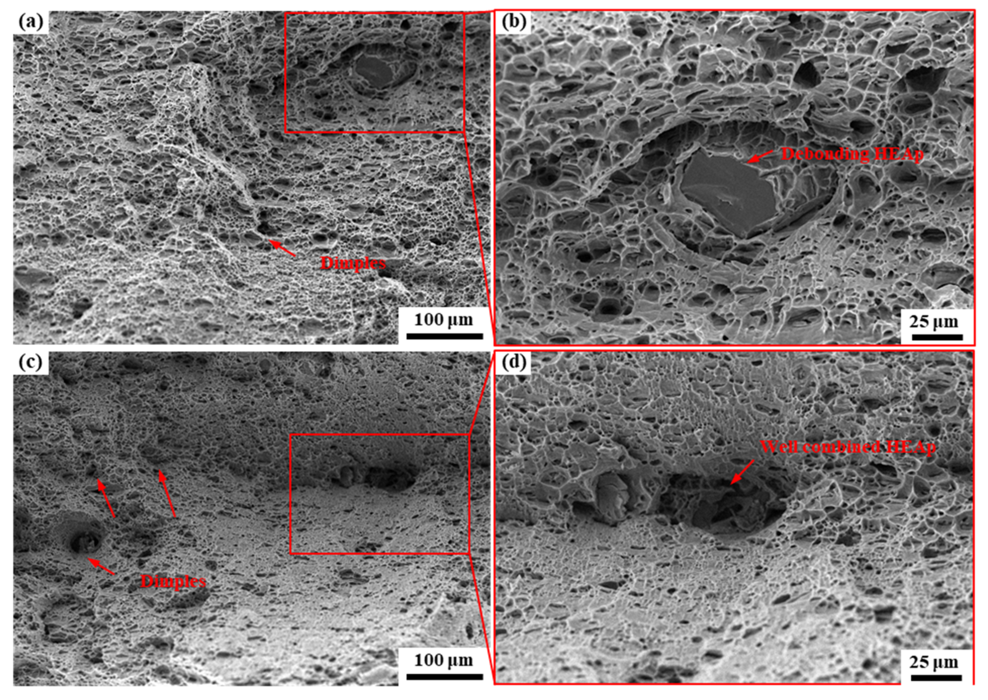 Metals 12 00625 g007 550