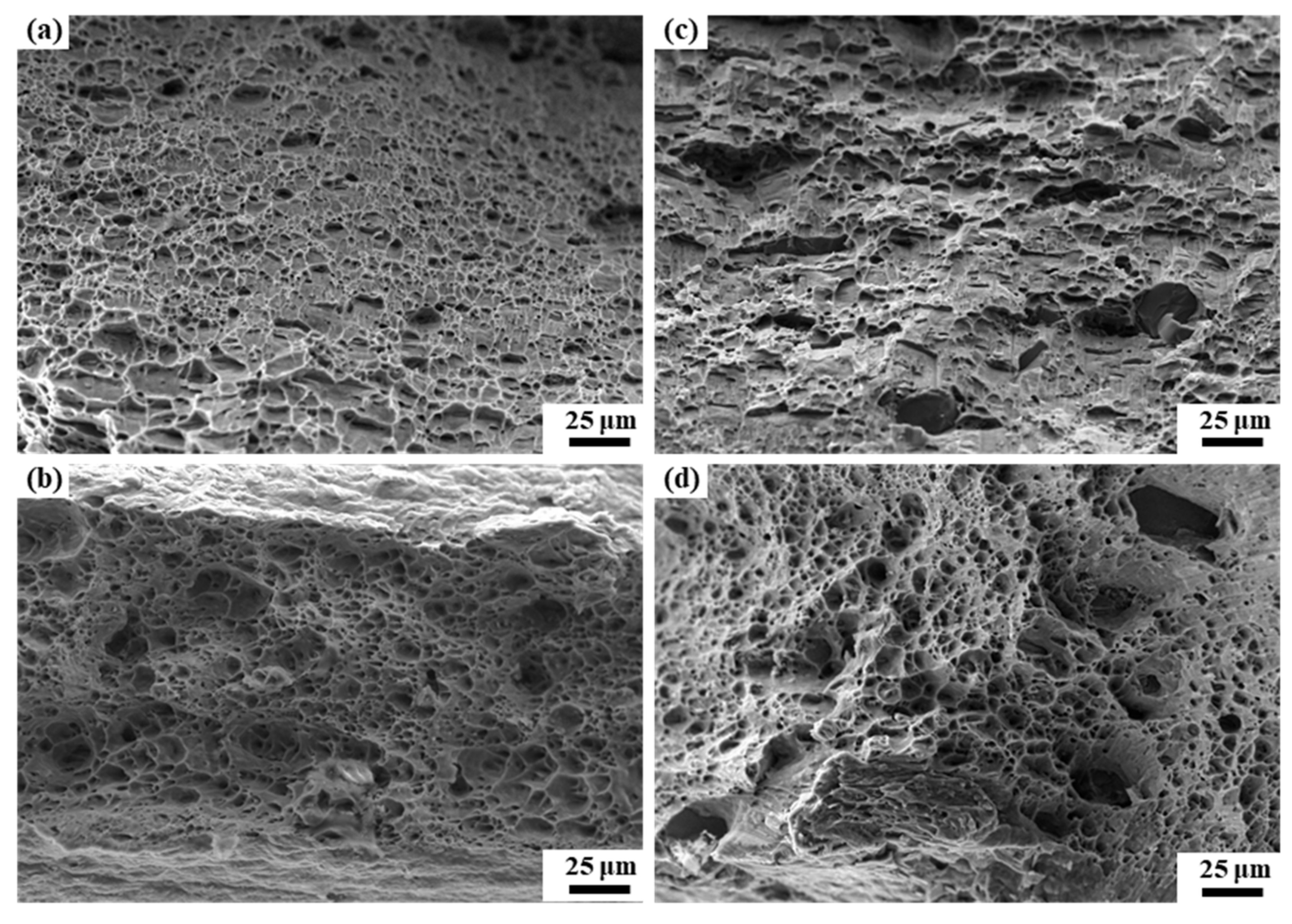 Metals 12 00625 g008 550