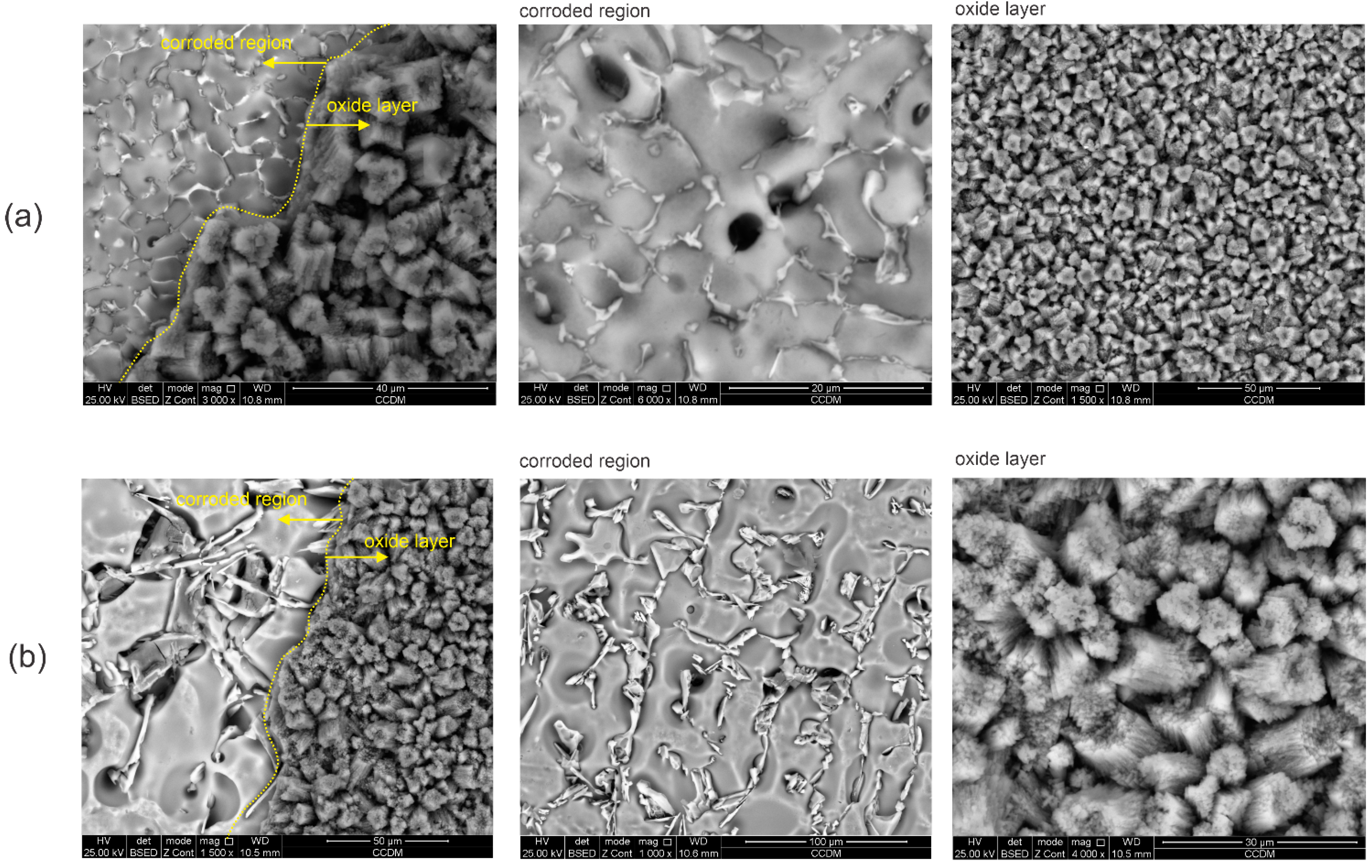 Metals 12 00645 g012 550