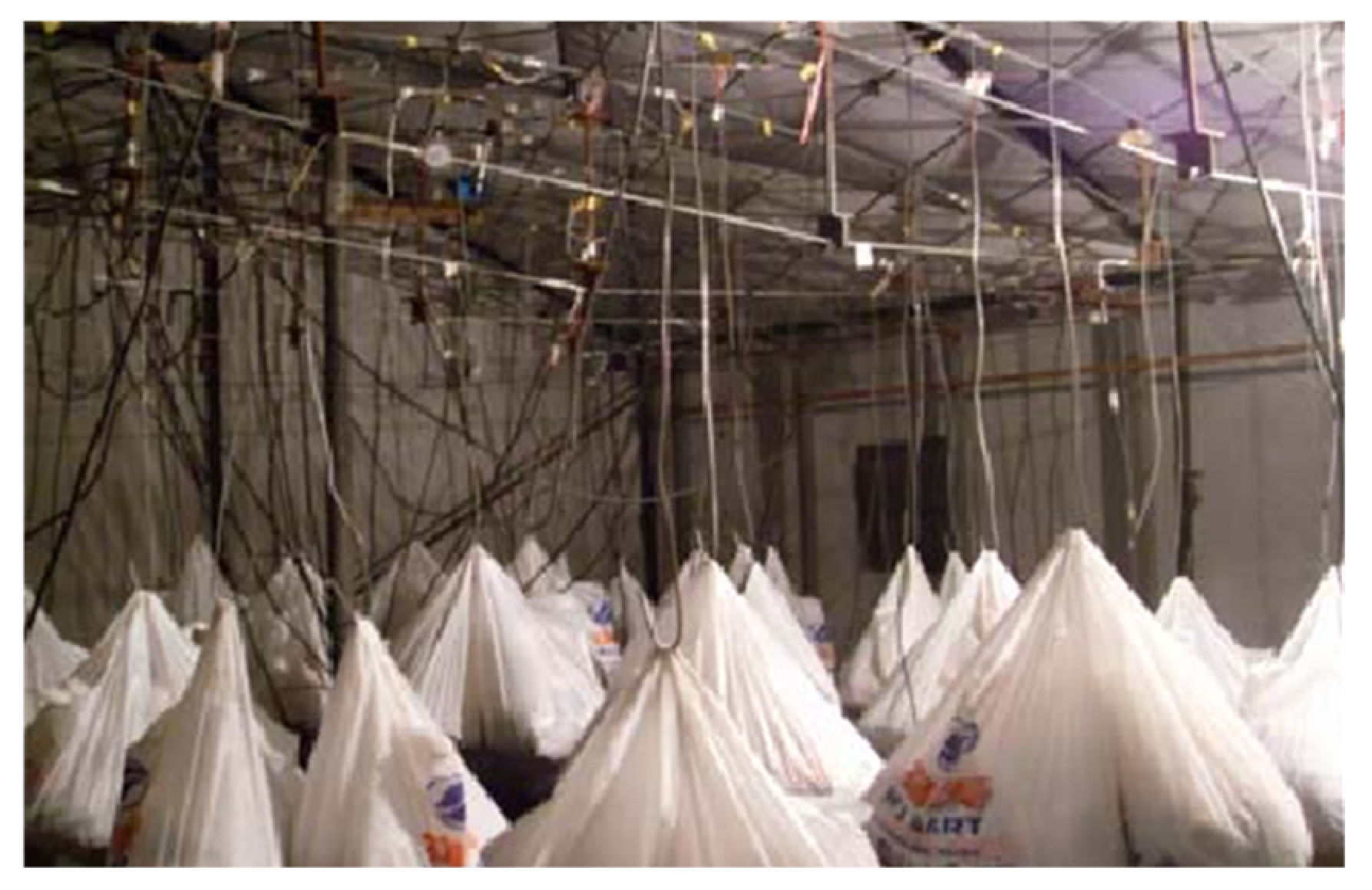 Metals 12 00646 g009