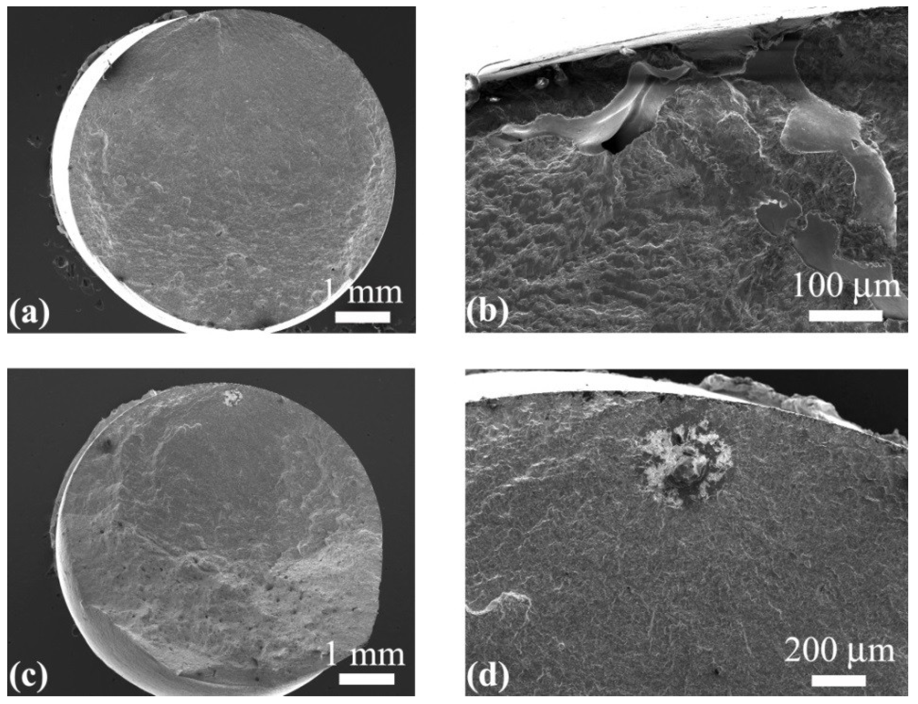 Metals 12 00652 g006 550