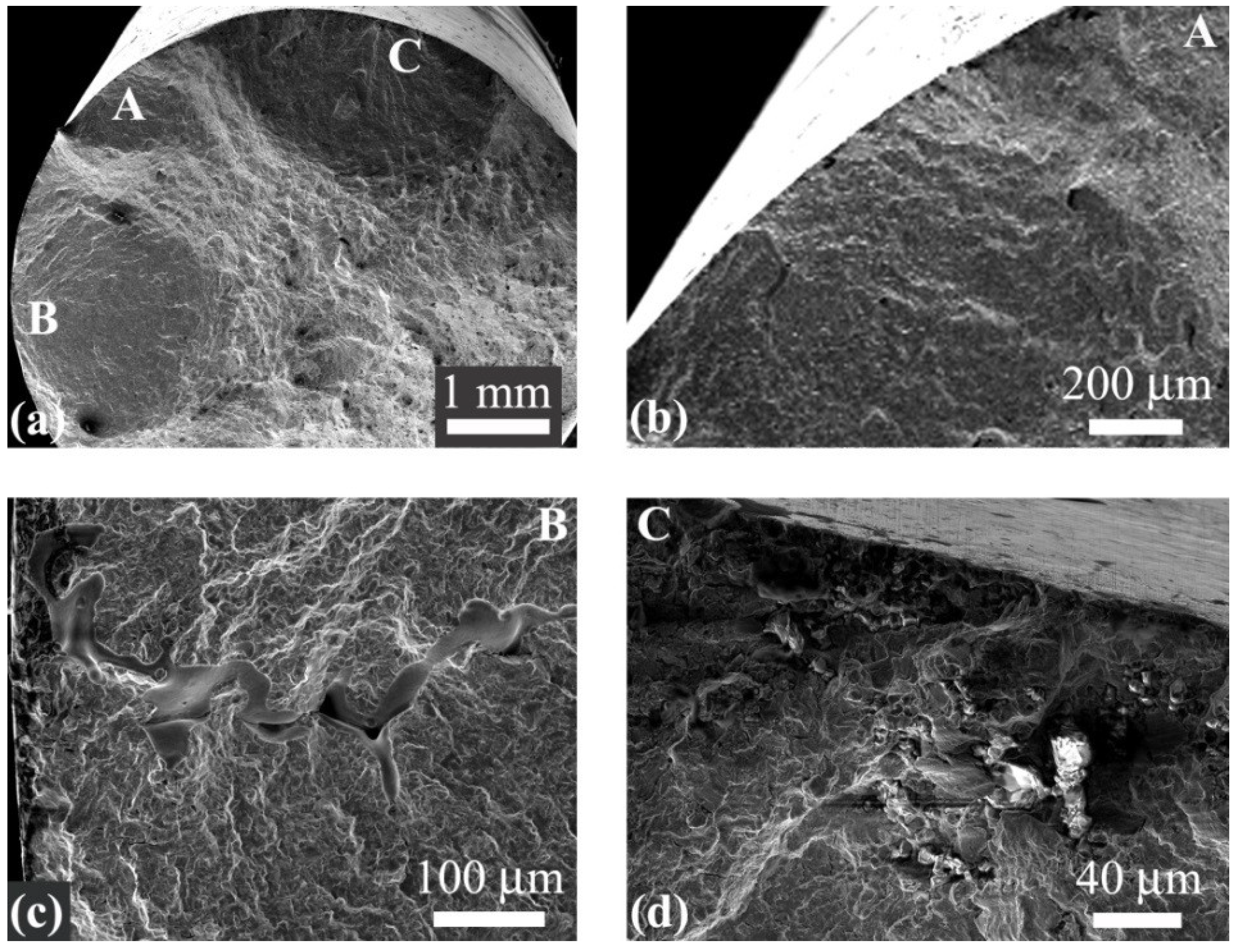 Metals 12 00652 g007 550