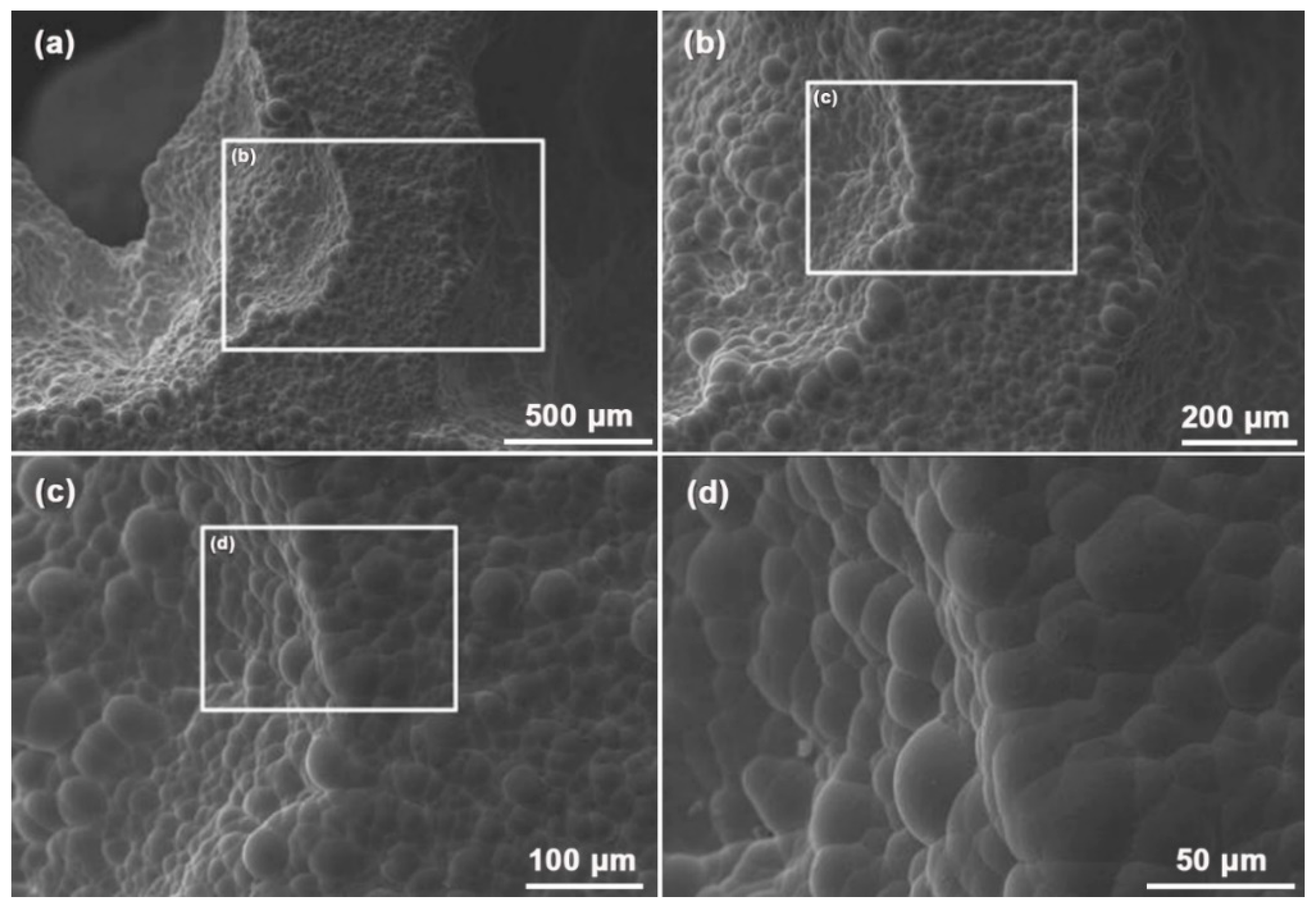 Metals 12 00689 g002 550