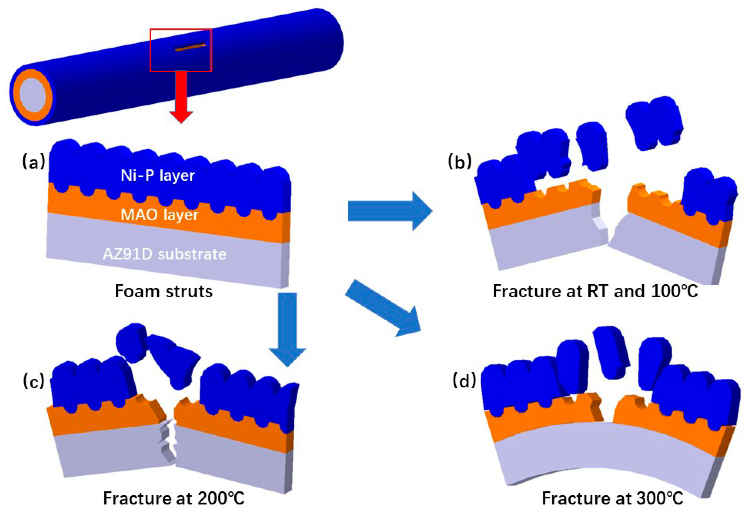 Metals 12 00689 g012 550