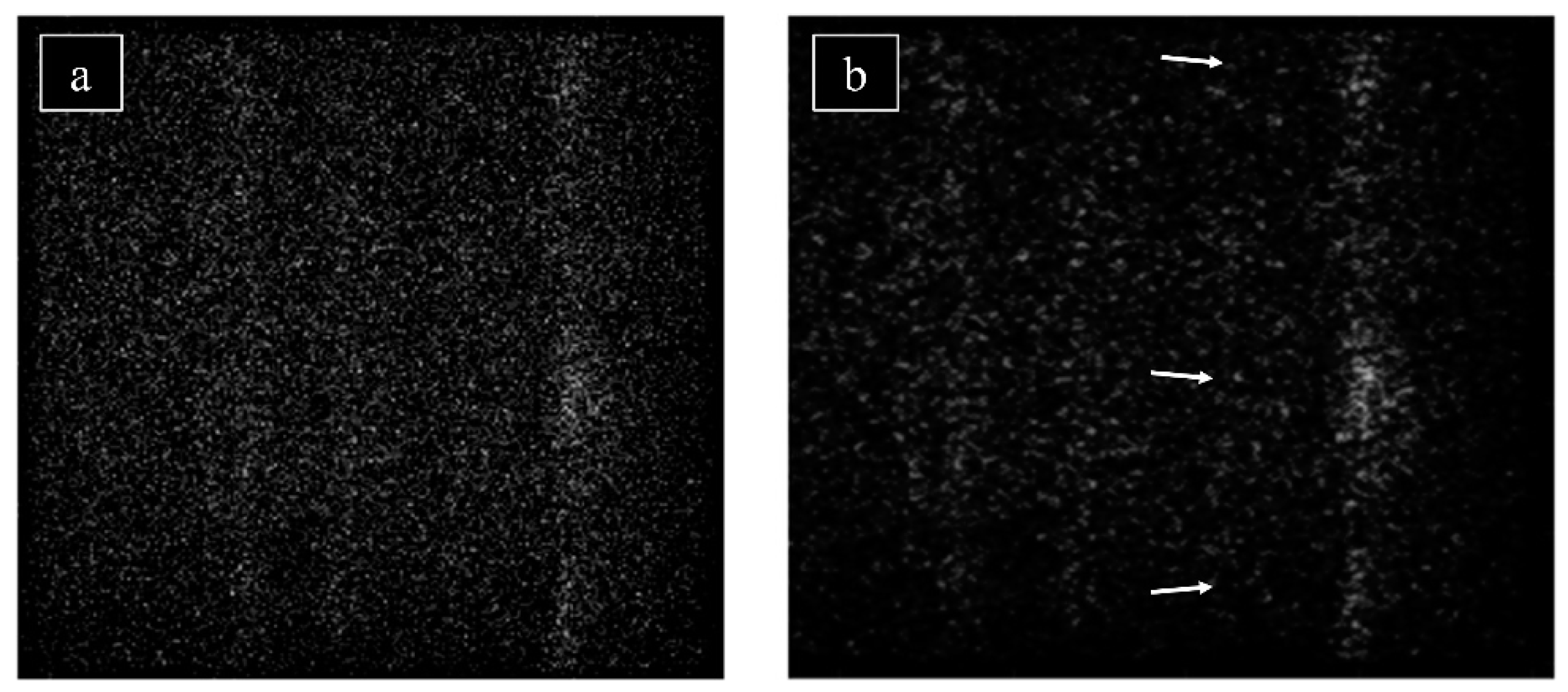 Metals 12 00724 g002 Metals 12 00724 g002