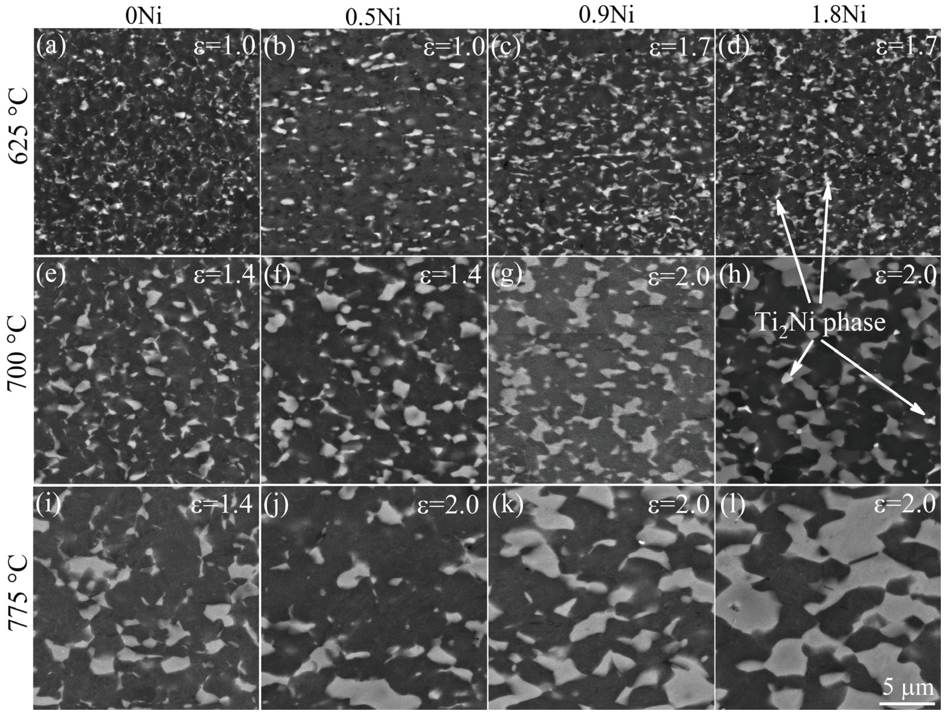 Metals 12 00741 g009