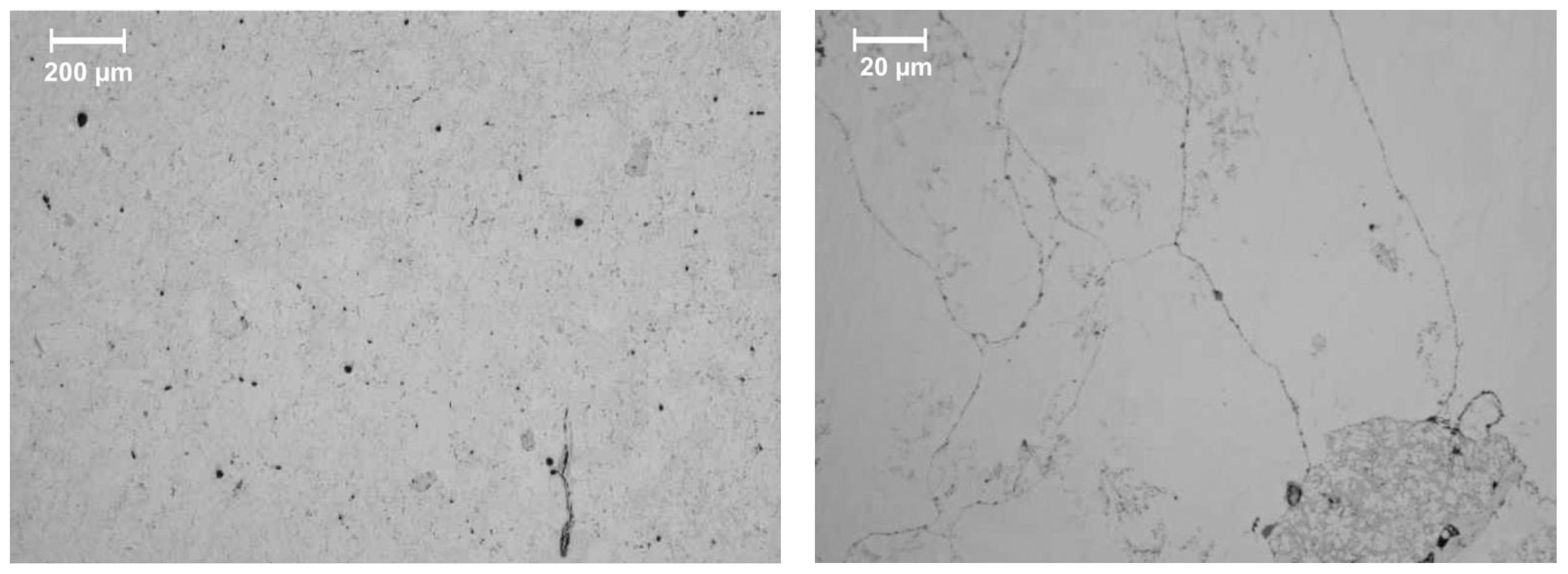 Metals 12 00748 g008 550