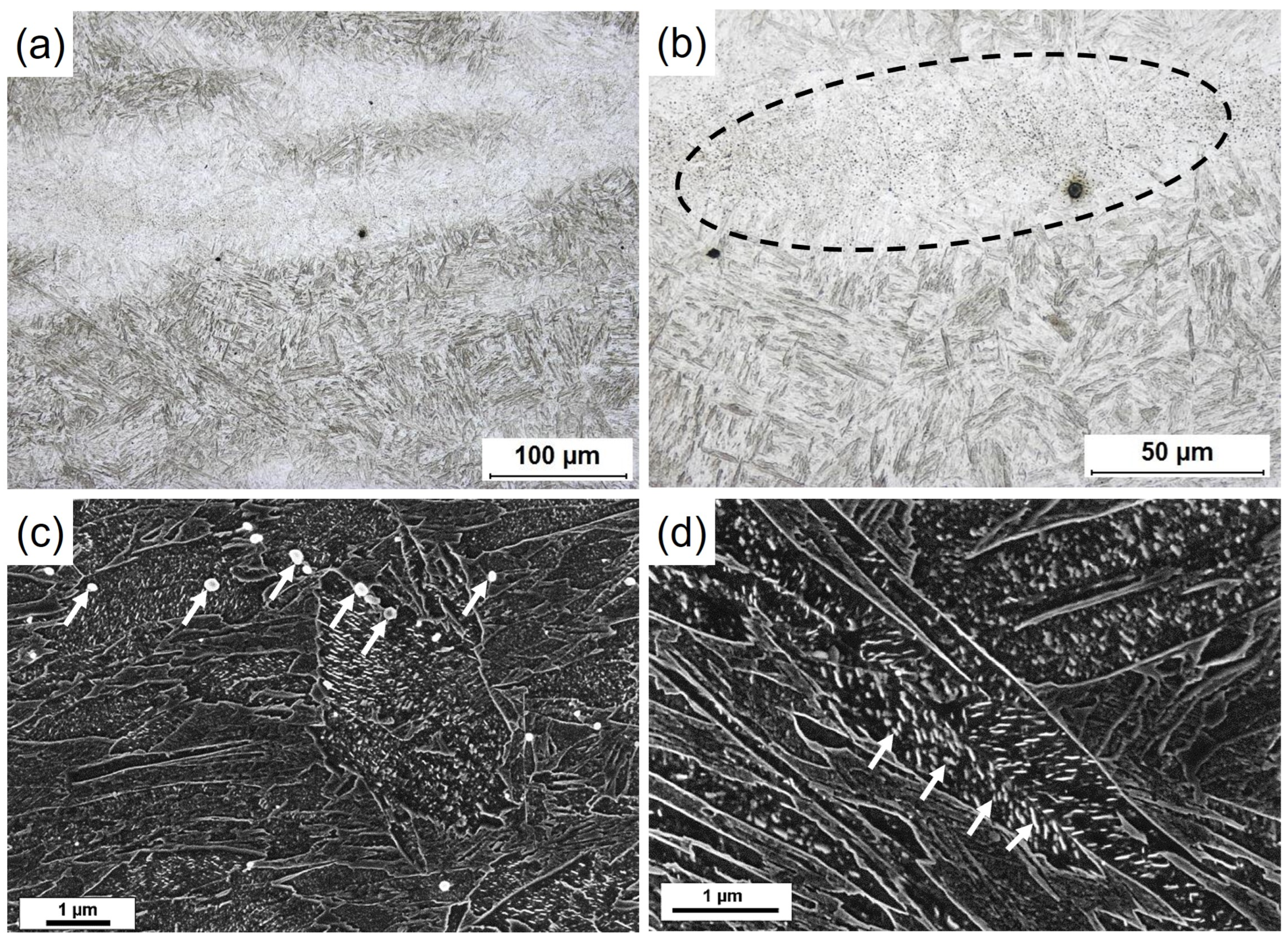 Metals 12 00758 g004 550
