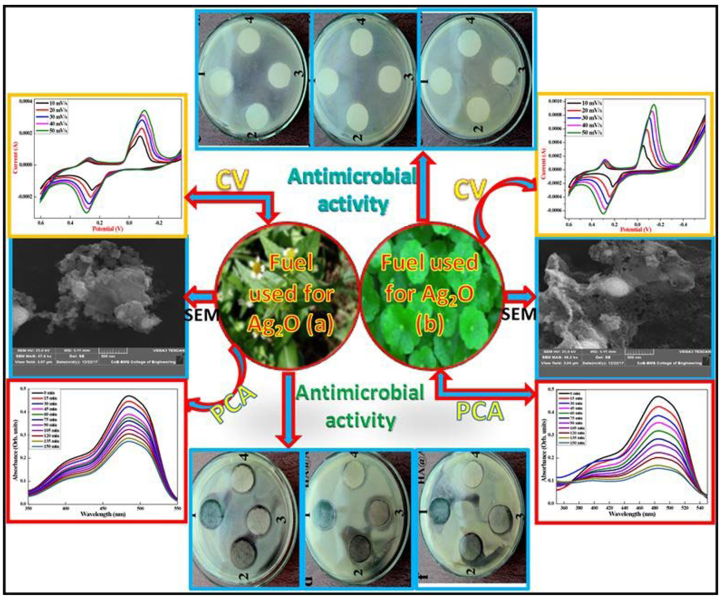 Metals 12 00769 g003 550
