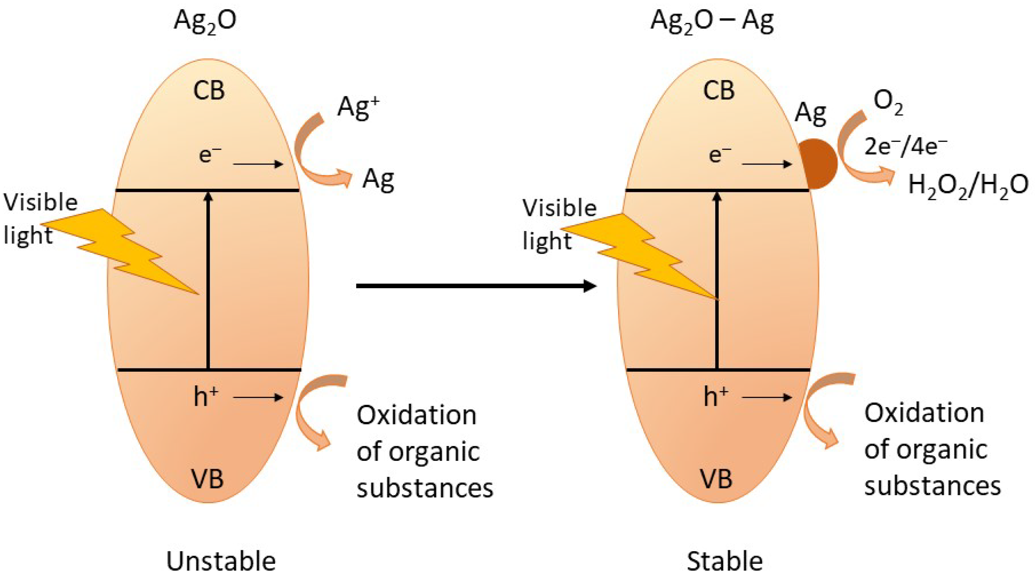 Metals 12 00769 g006 550