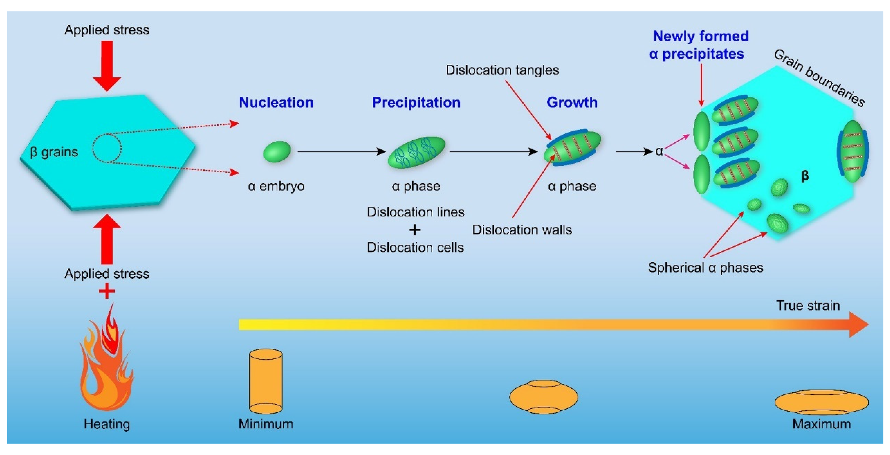 Metals 12 00770 g008