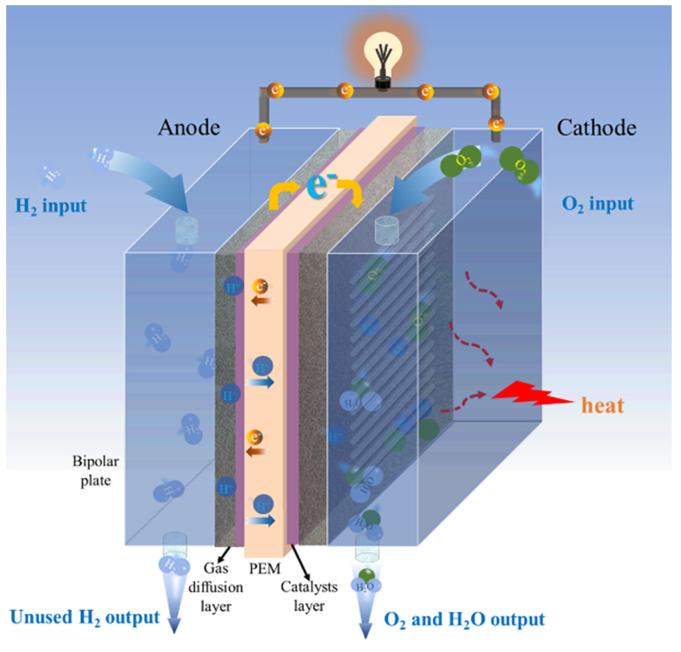 Metals Free FullText Electrochemical Behavior and Surface