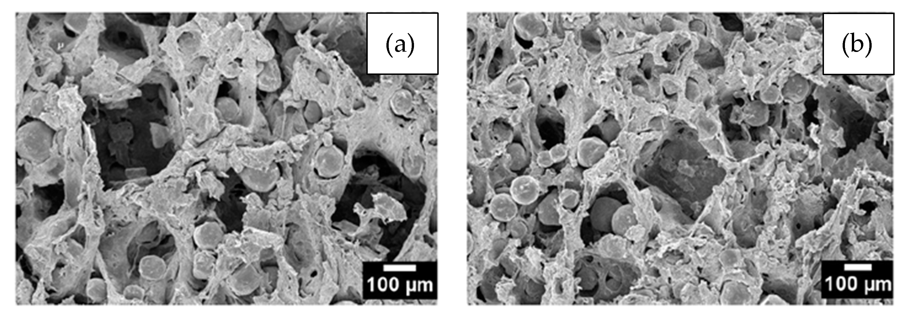 Metals 12 00783 g005 550