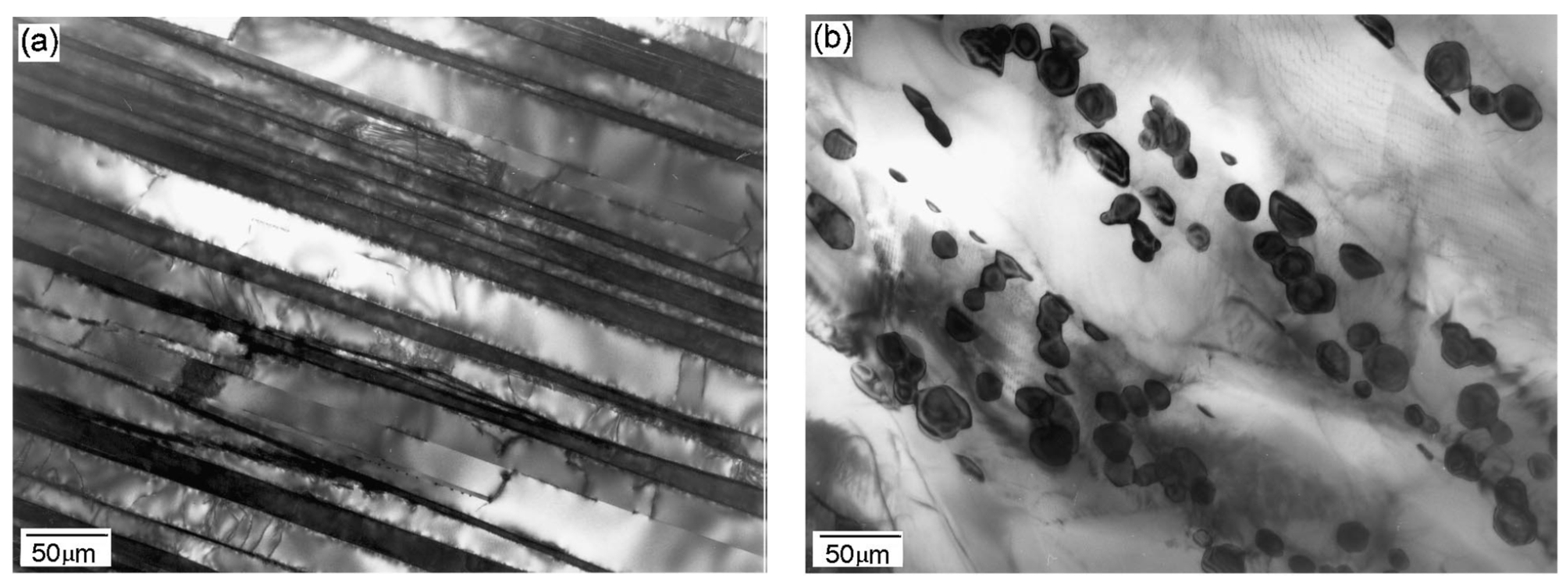 Metals 12 00790 g006 550