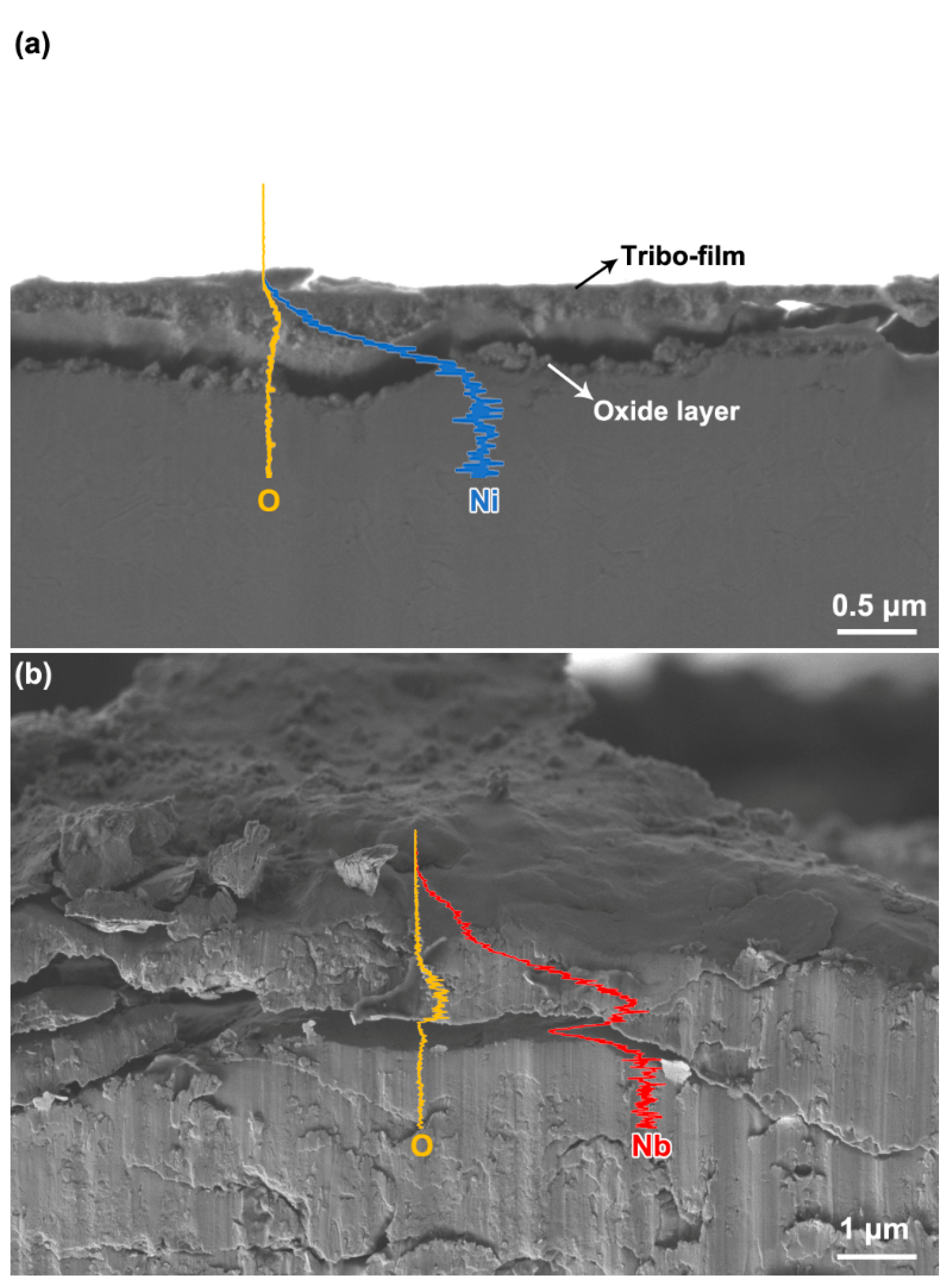 Metals 12 00798 g008 550