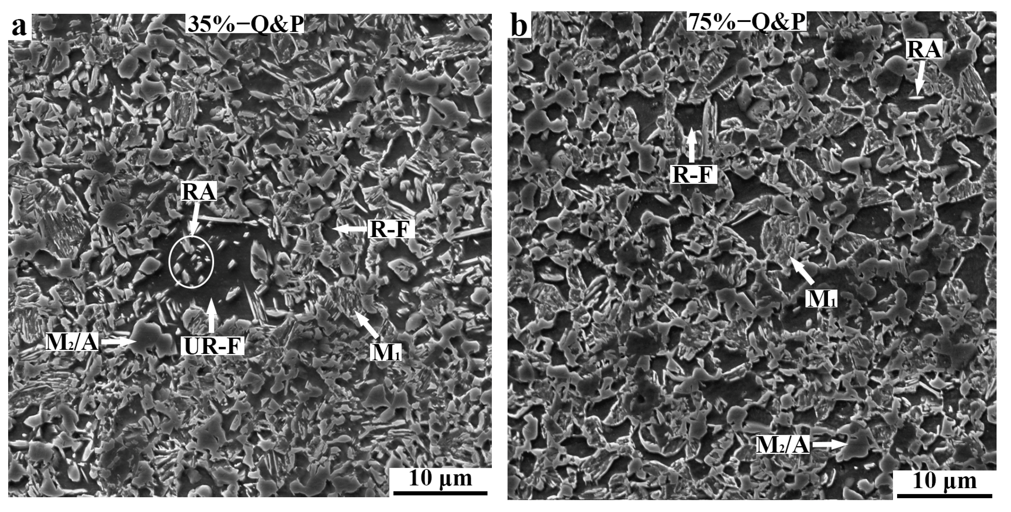 Metals 12 00799 g003 550