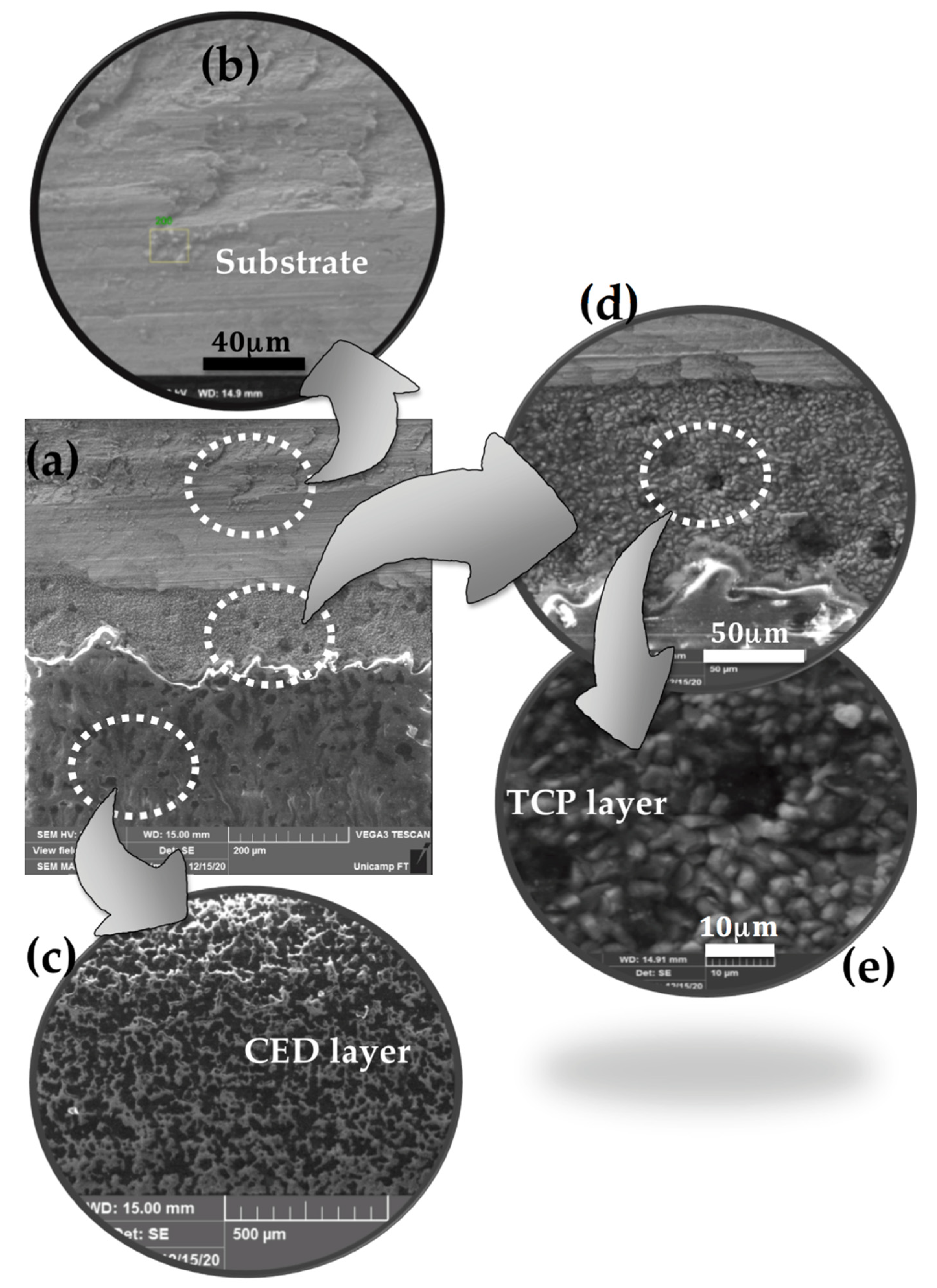Metals 12 00863 g008 550