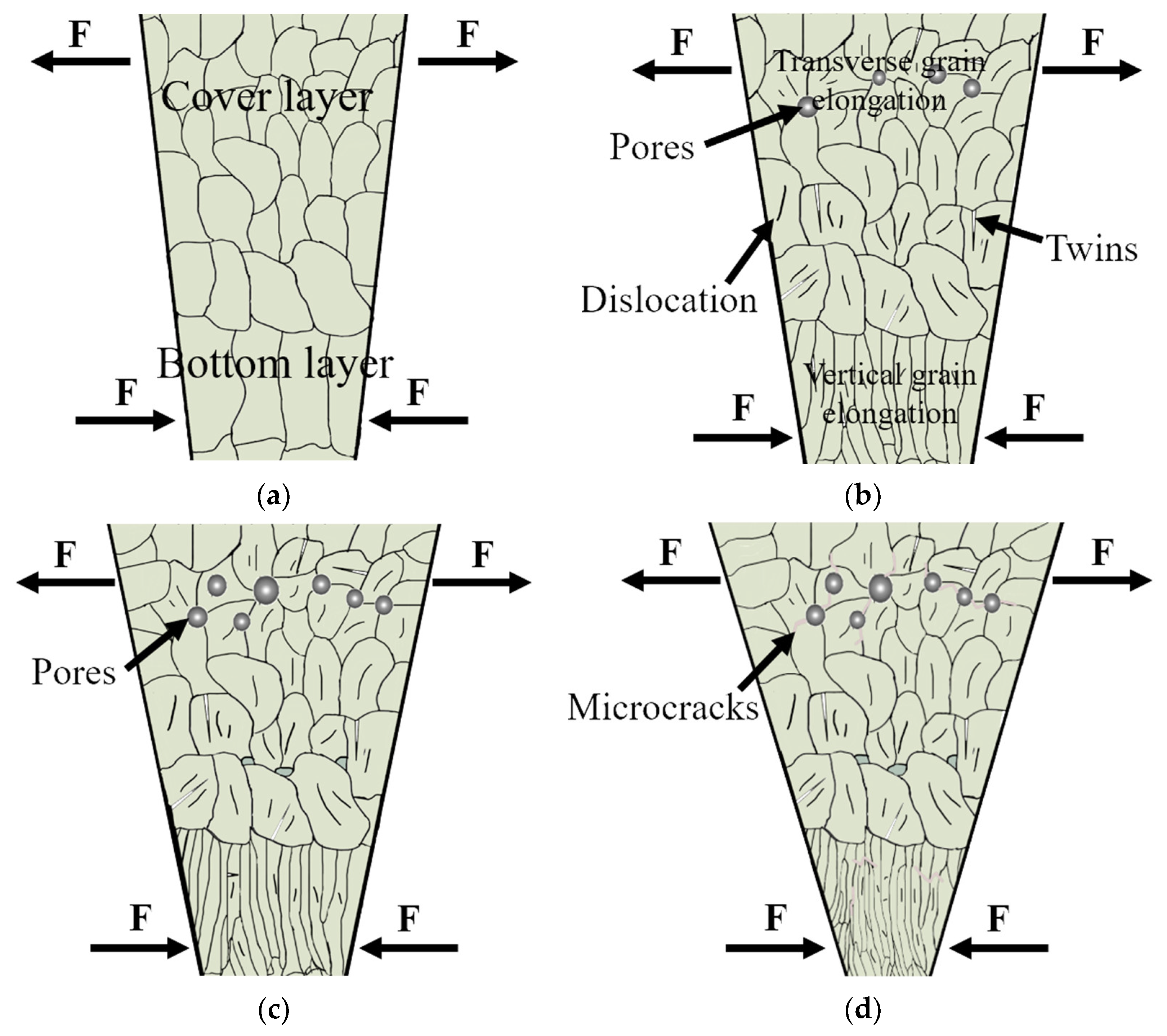 Metals 12 00873 g012