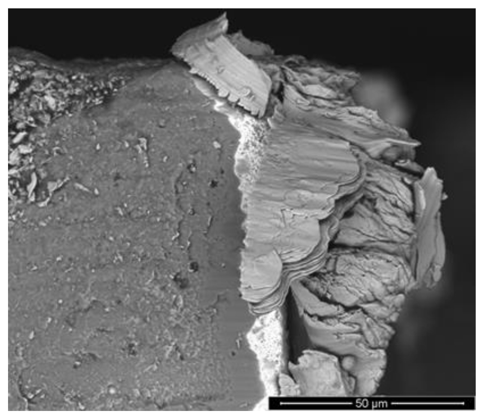 Metals 12 00896 g014 550