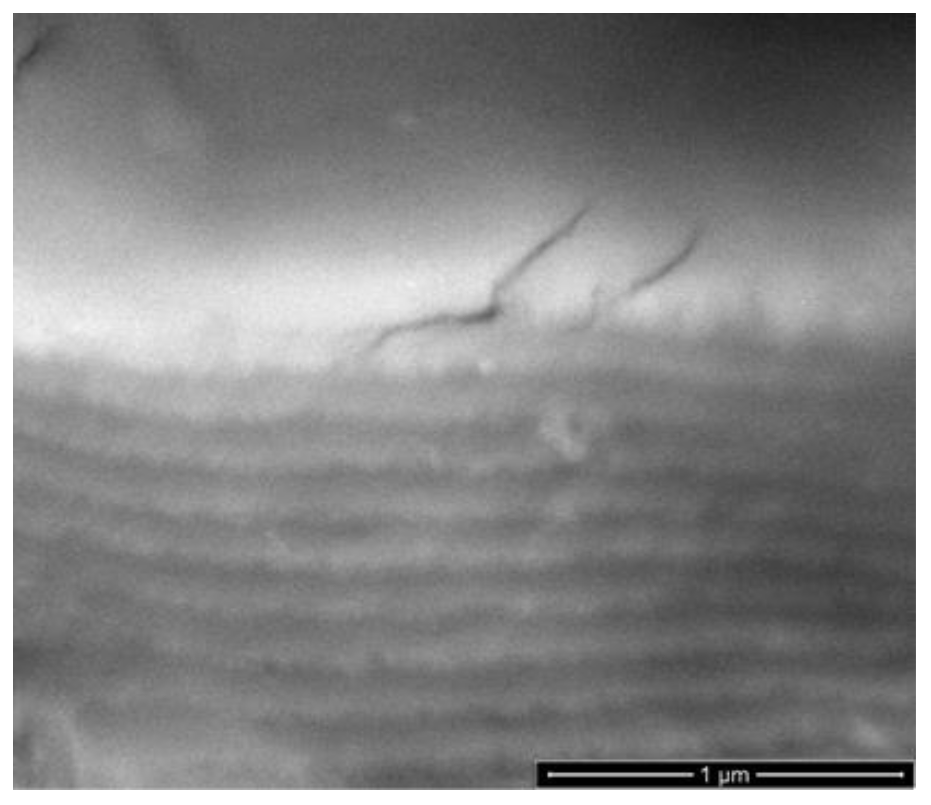 Metals 12 00896 g016 550