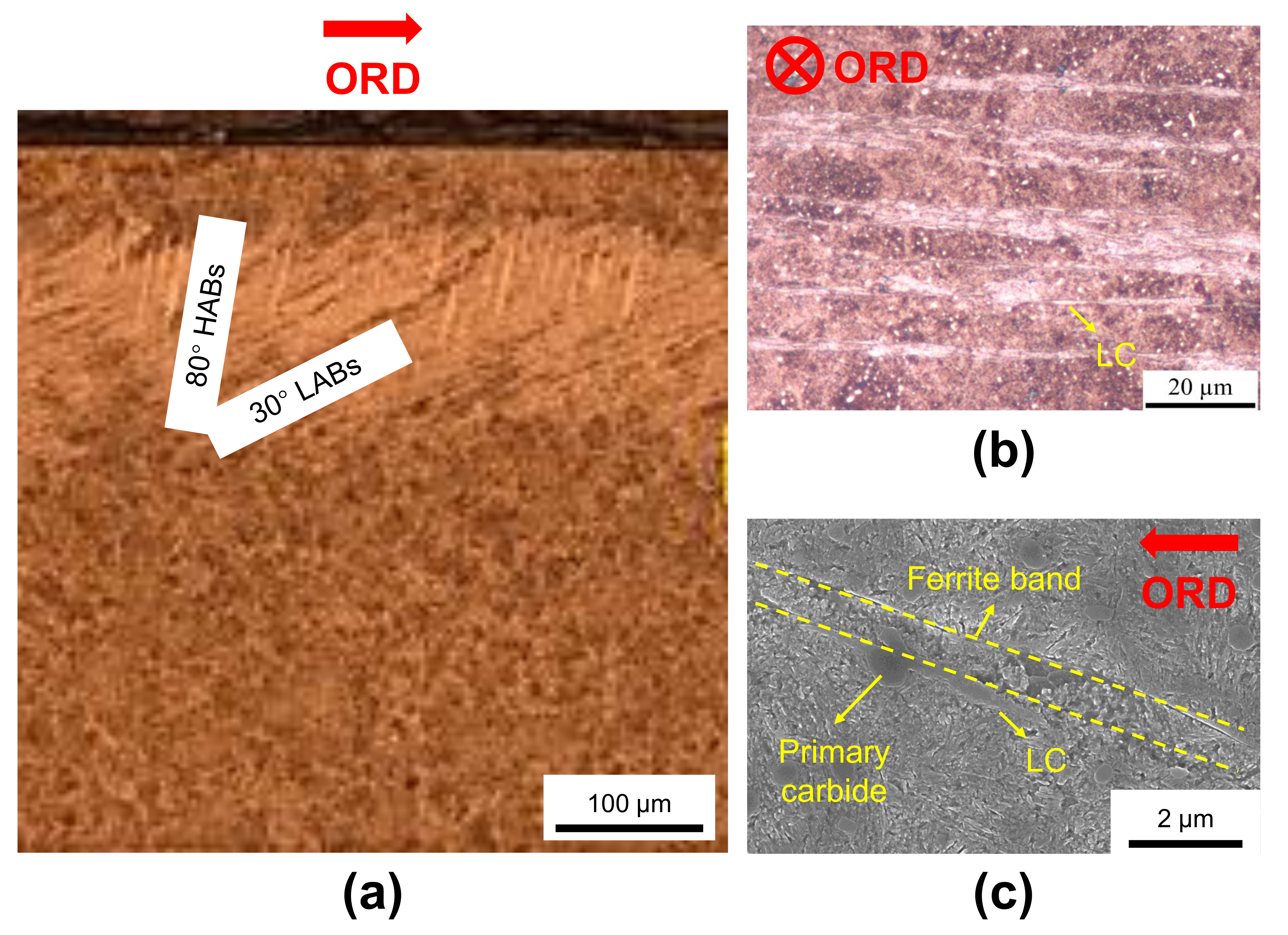 Metals 12 00910 g005 550