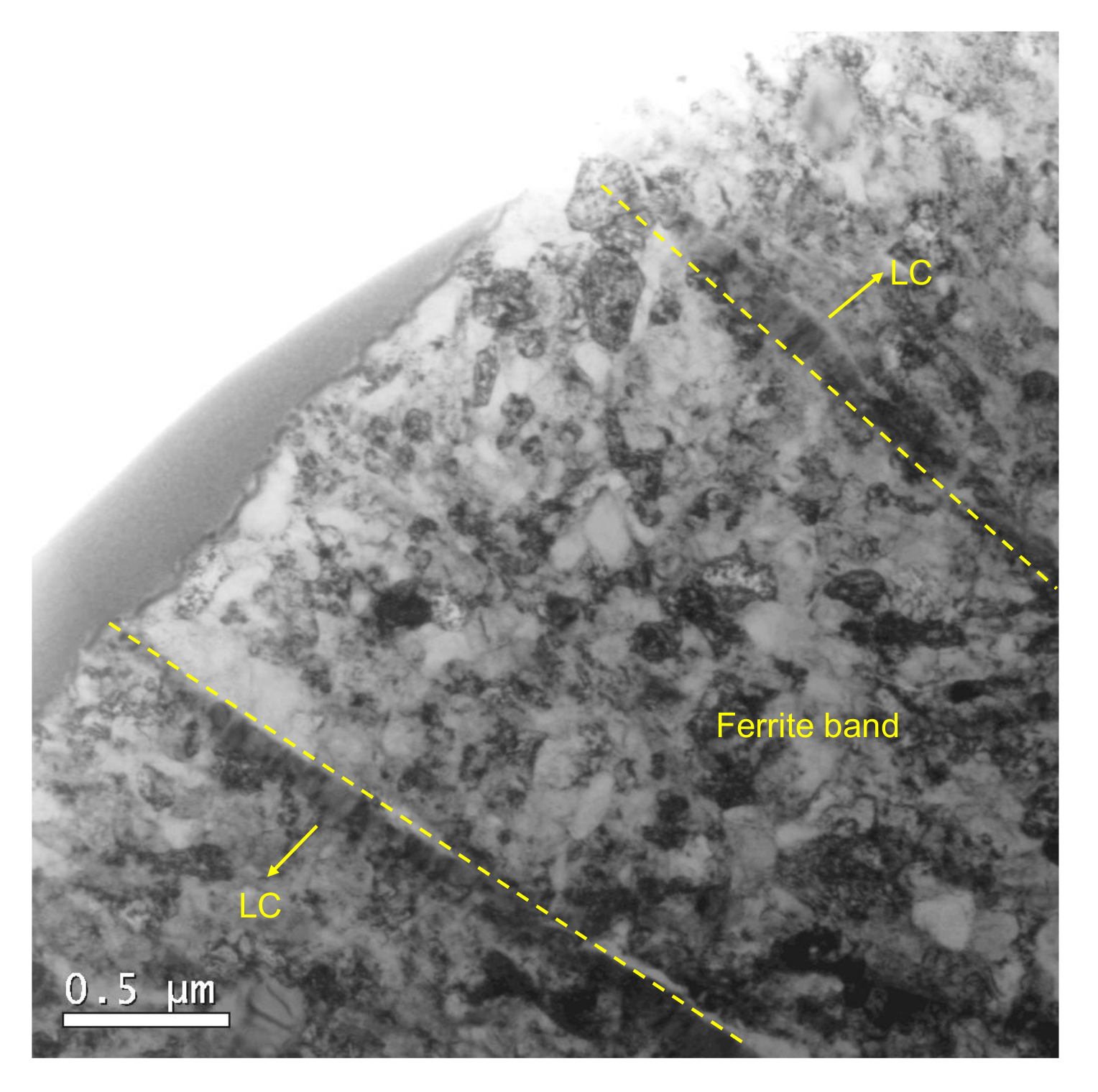 Metals 12 00910 g006 550