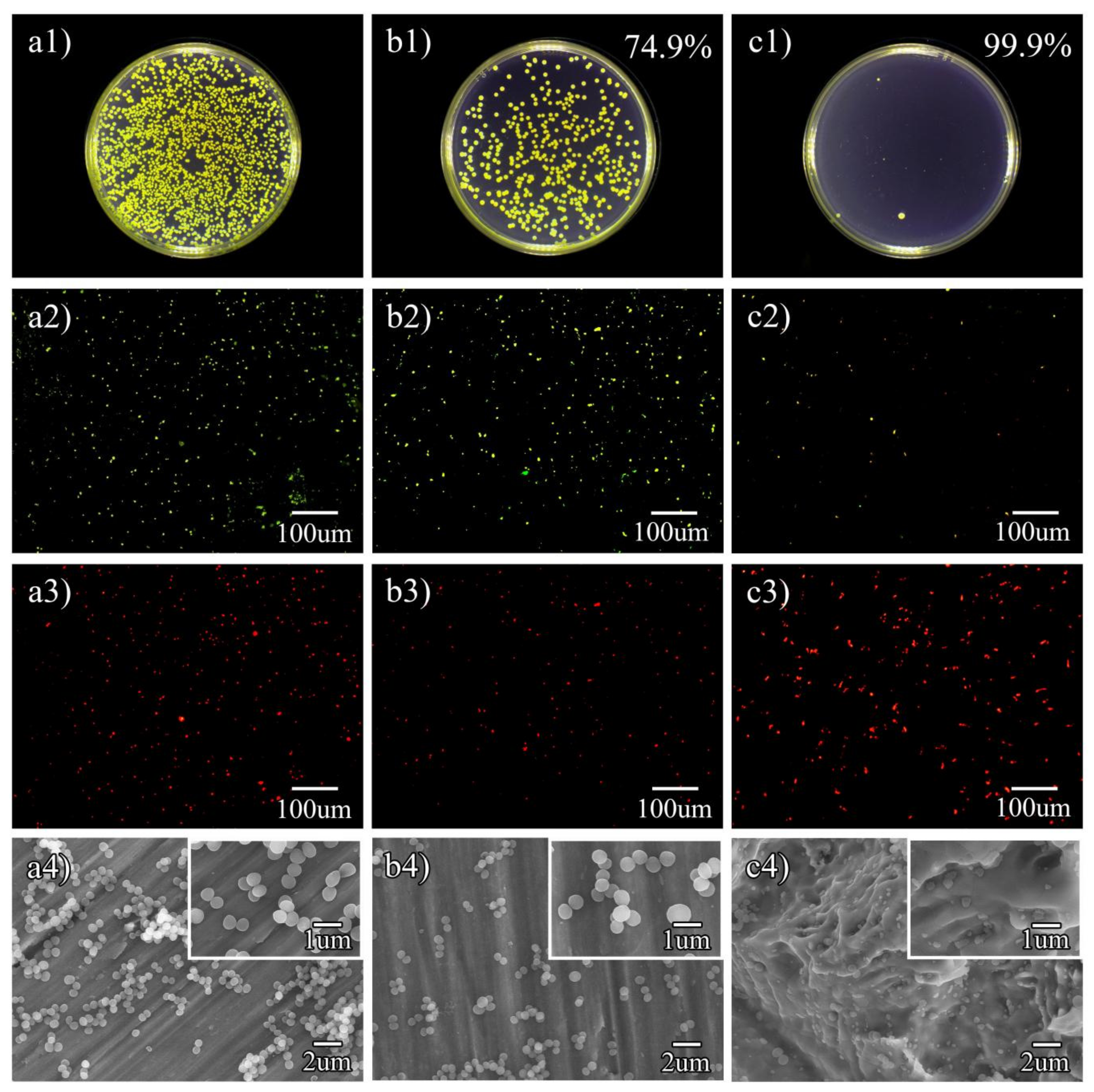 Metals 12 01008 g005 550