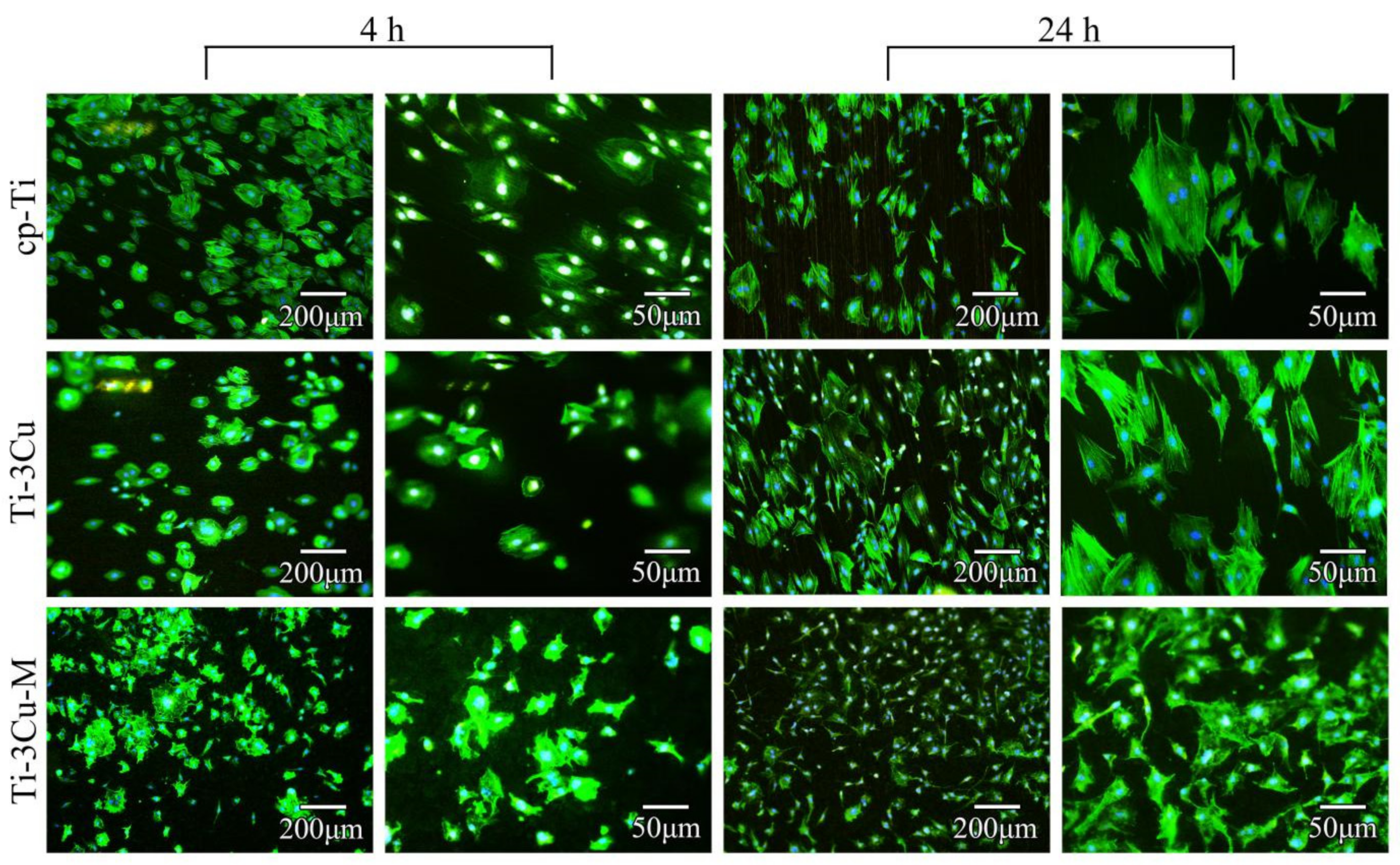 Metals 12 01008 g008 550