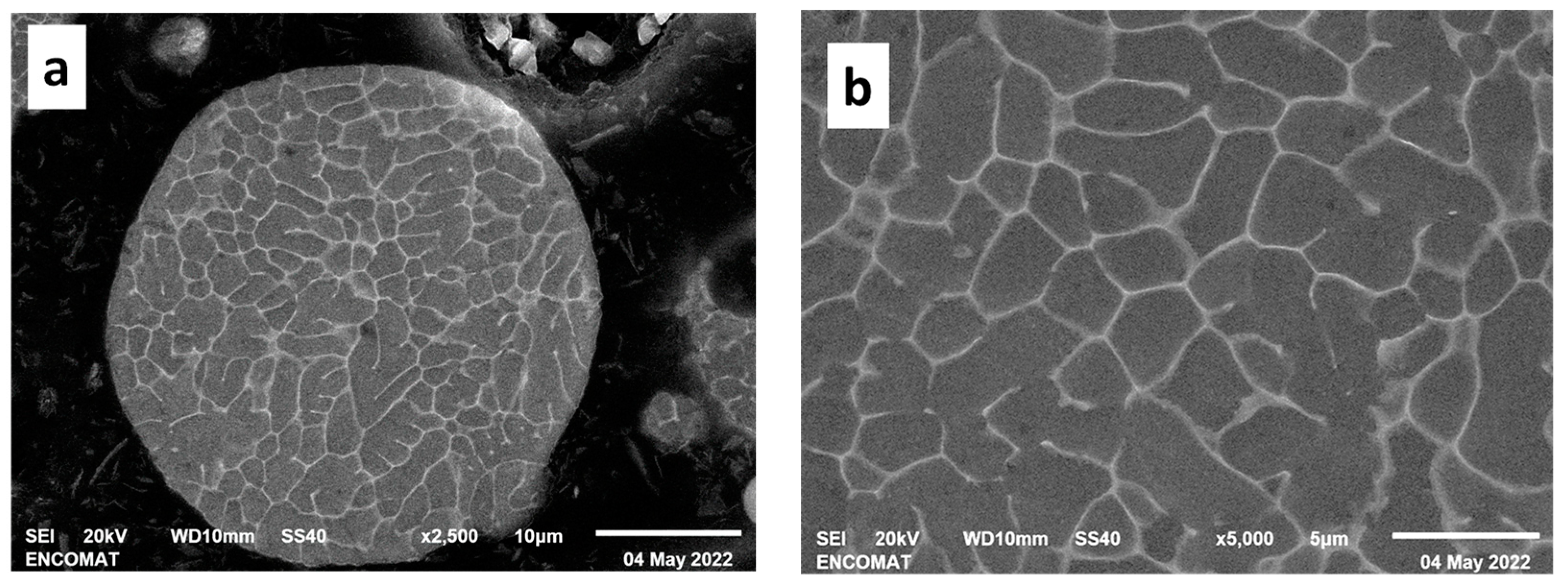 Metals 12 01020 g002