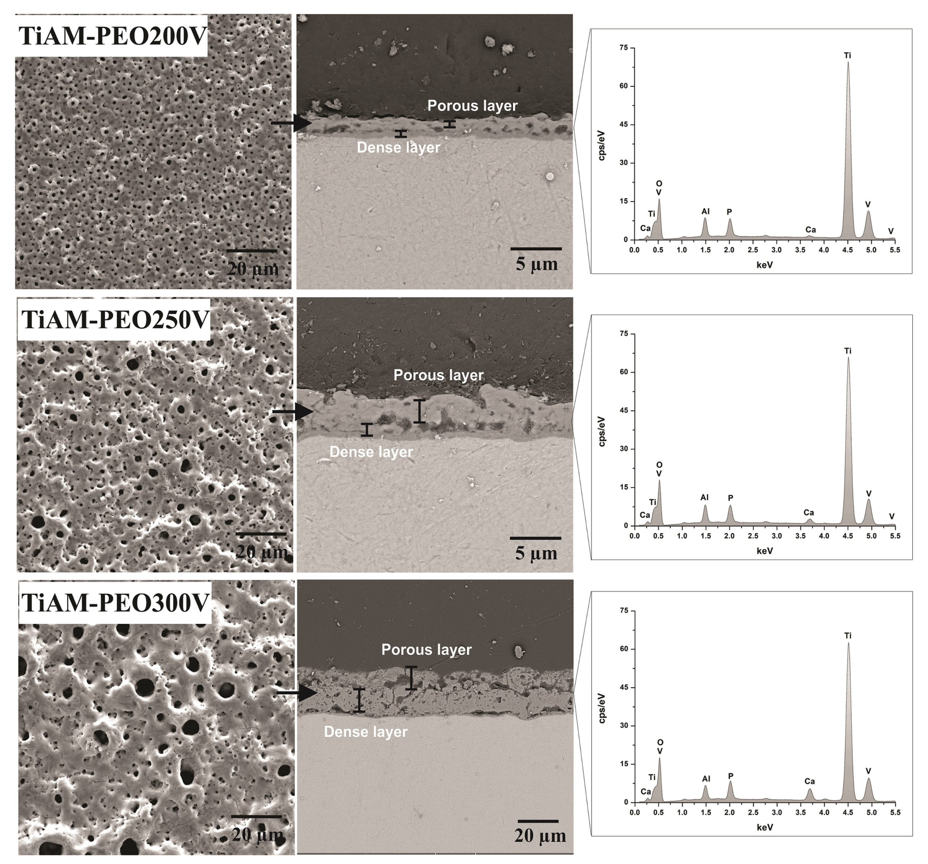 Metals 12 01070 g001