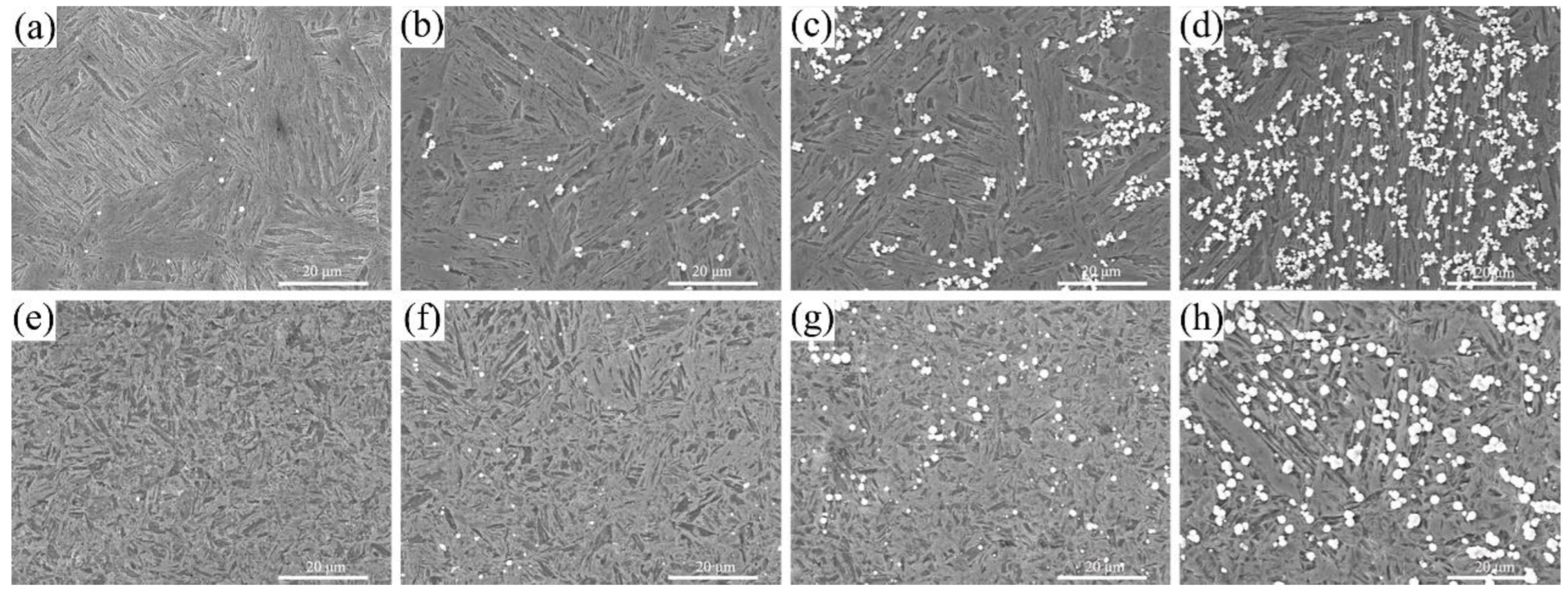 Metals 12 01075 g005 550