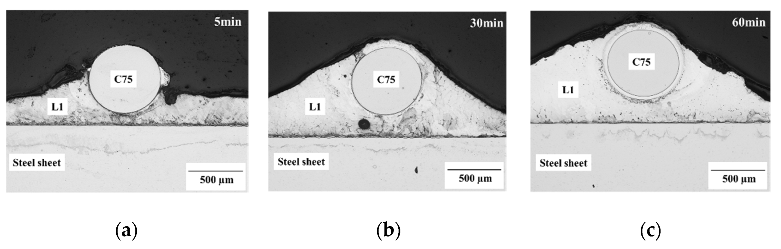 Metals 12 01116 g009