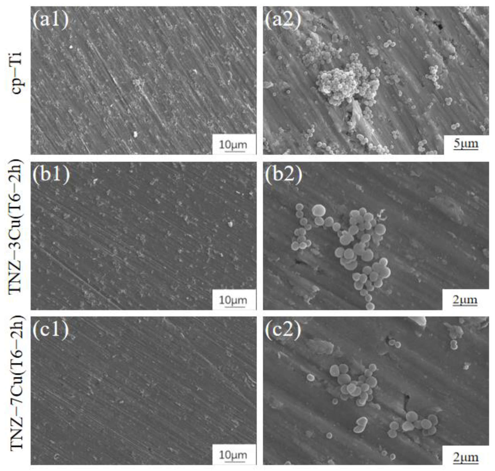 Metals 12 01132 g012