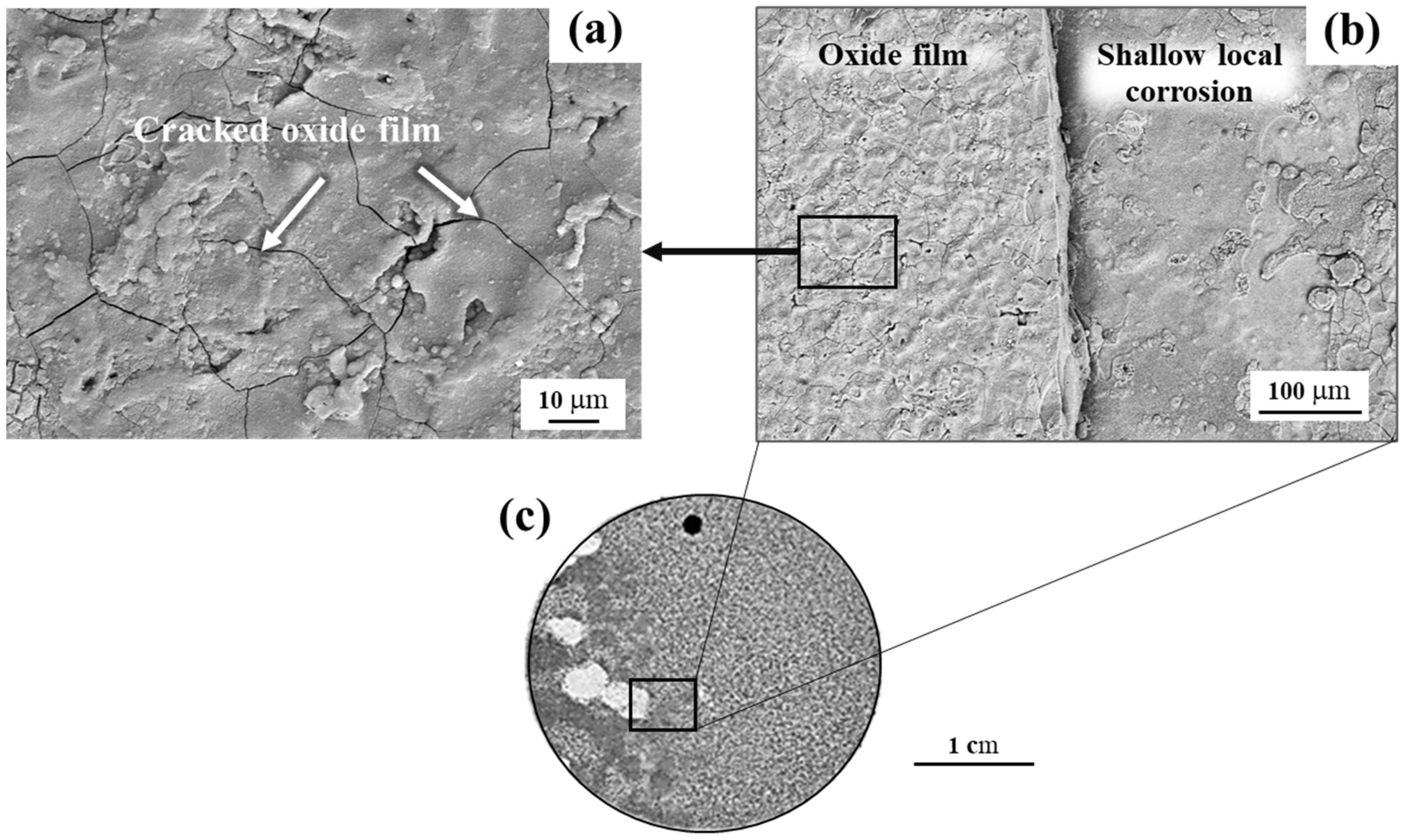 Metals 12 01140 g012 Metals 12 01140 g012
