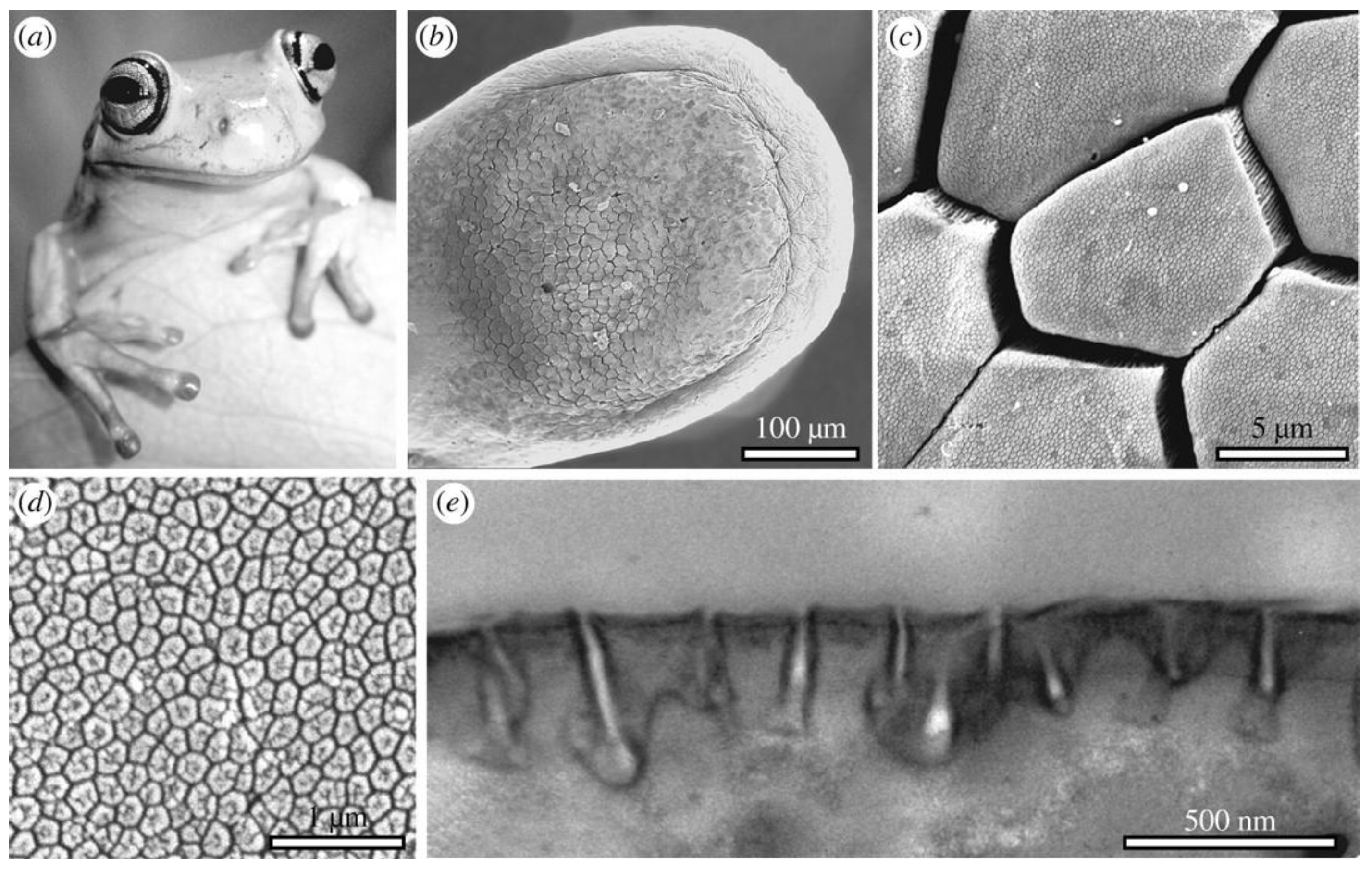 Metals 12 01148 g003 550