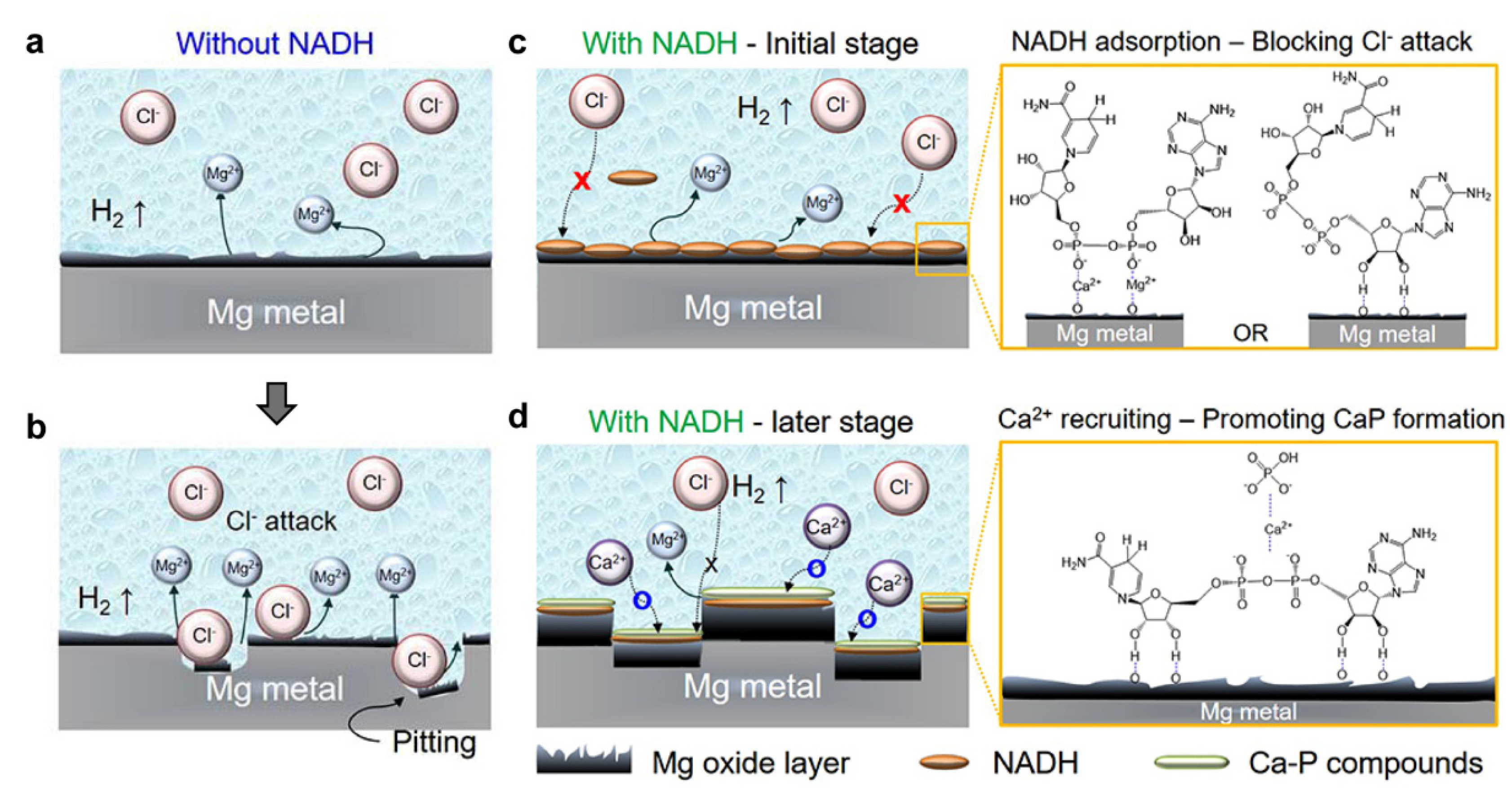 Metals 12 01150 g010