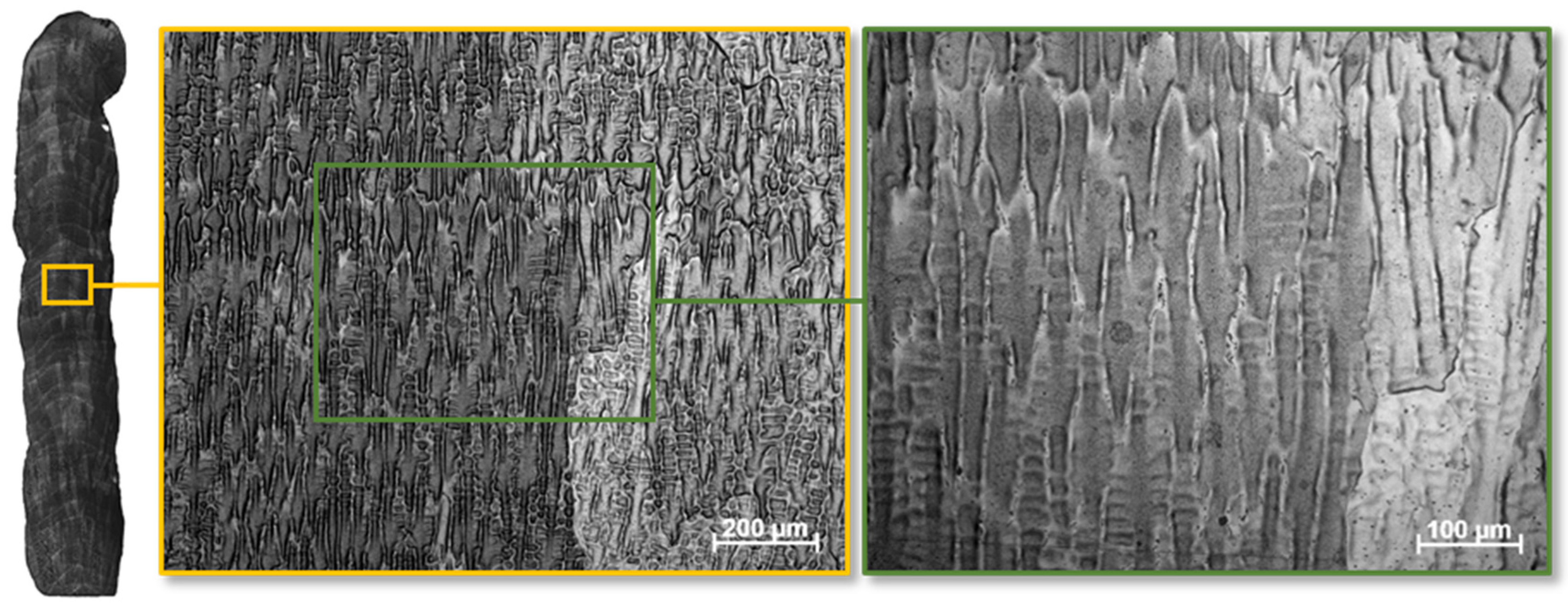 Metals 12 01167 g004