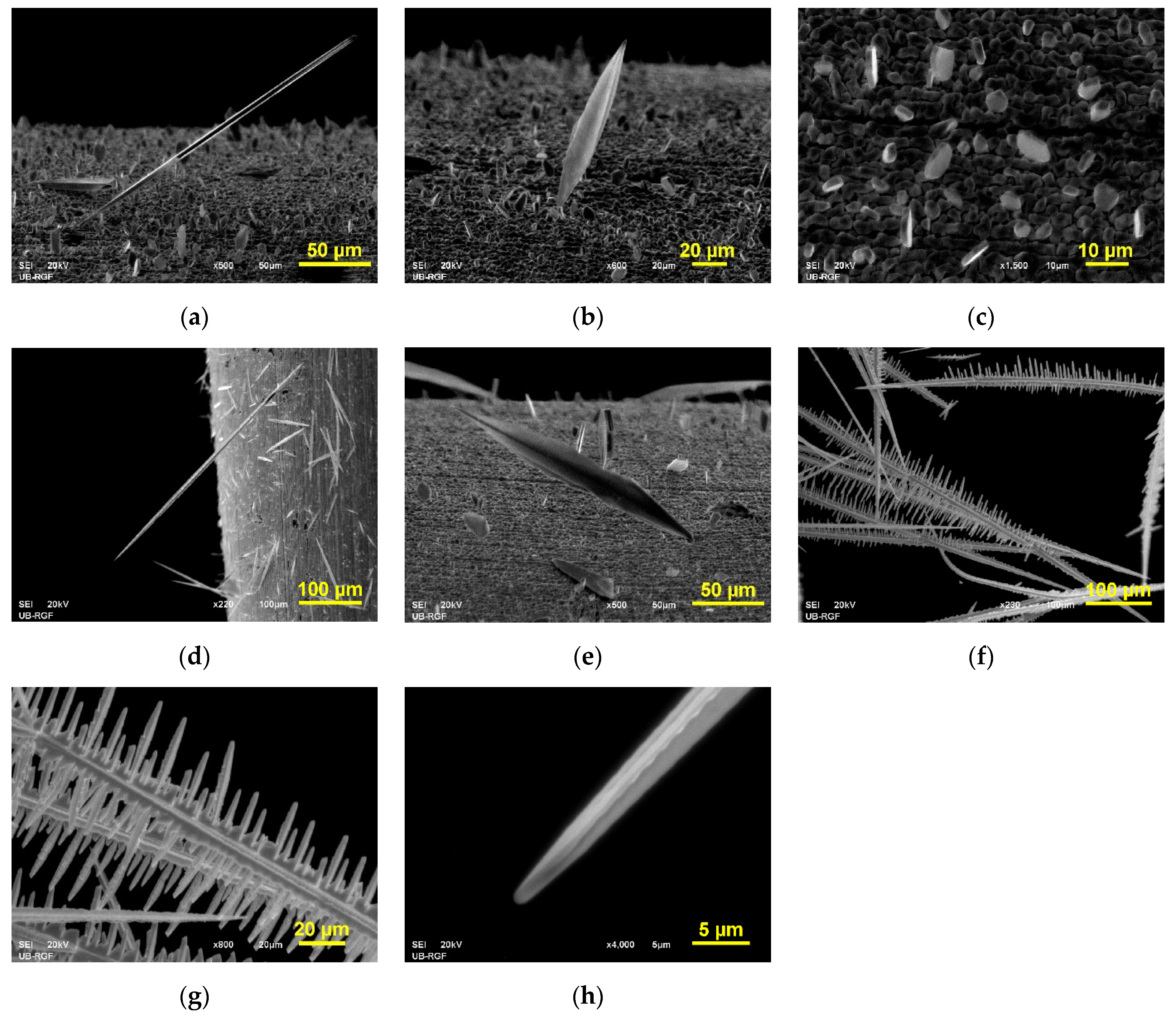 Metals 12 01201 g003 550