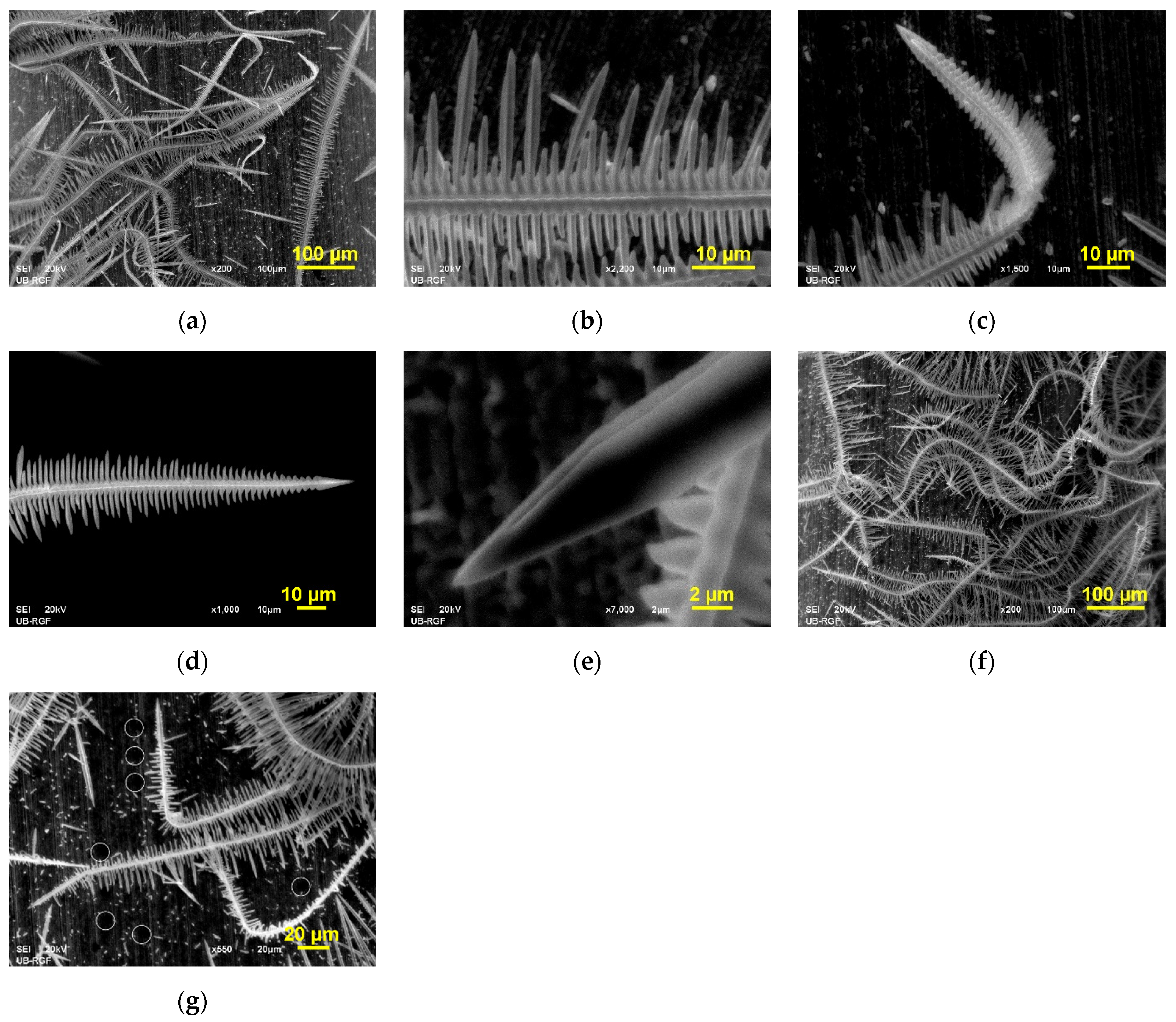 Metals 12 01201 g004 550