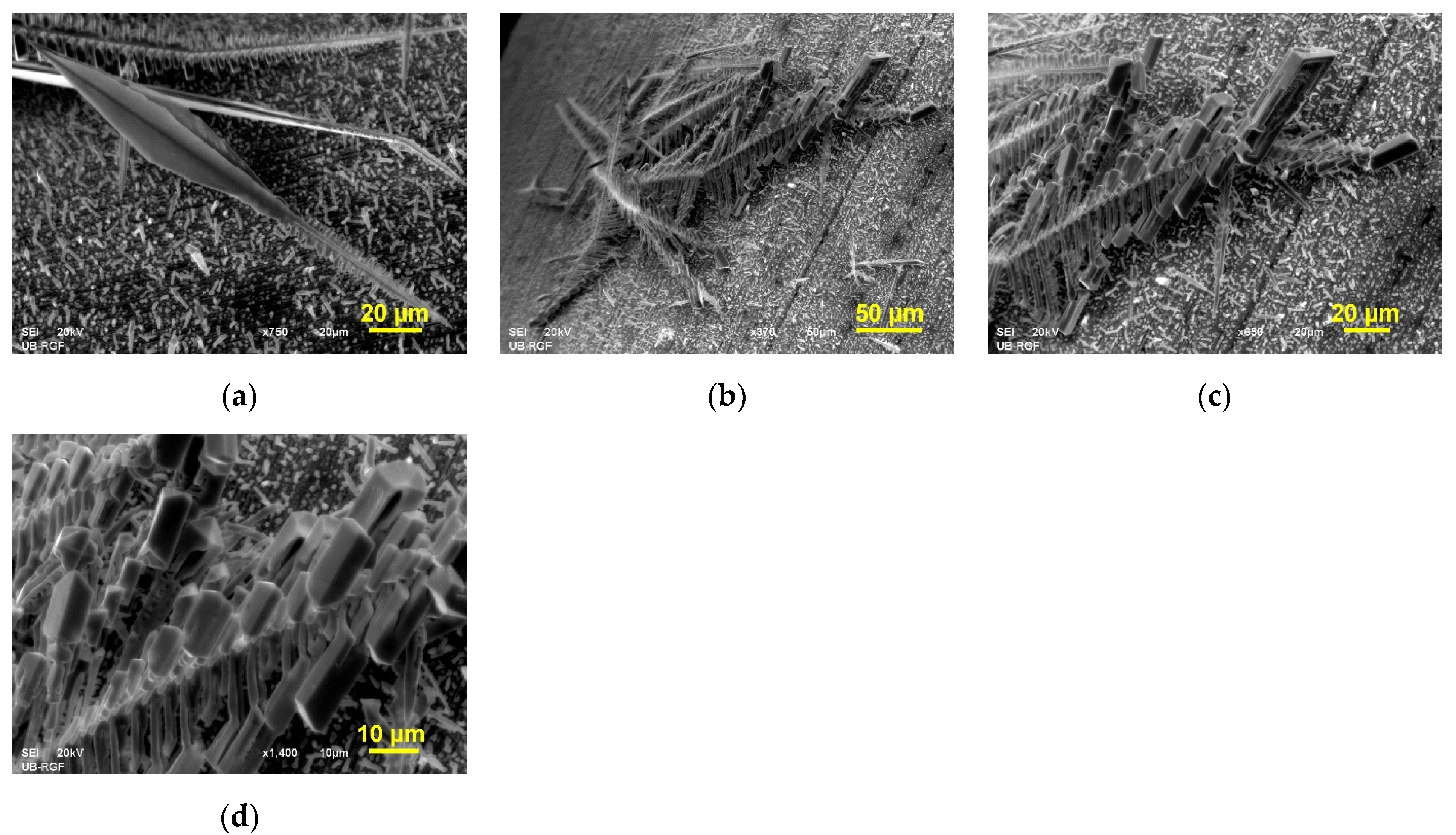 Metals 12 01201 g006 550