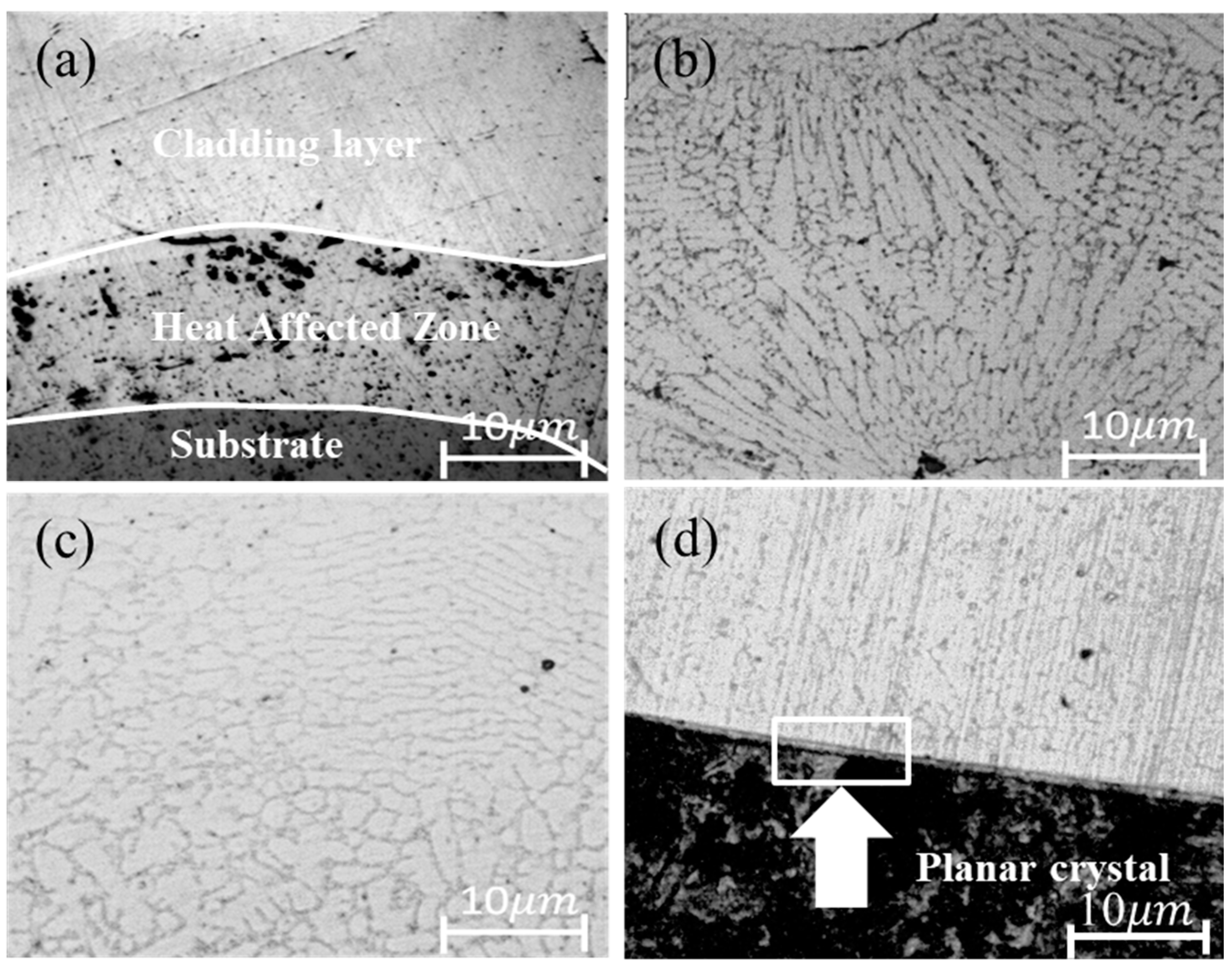 Metals 12 01230 g004 550
