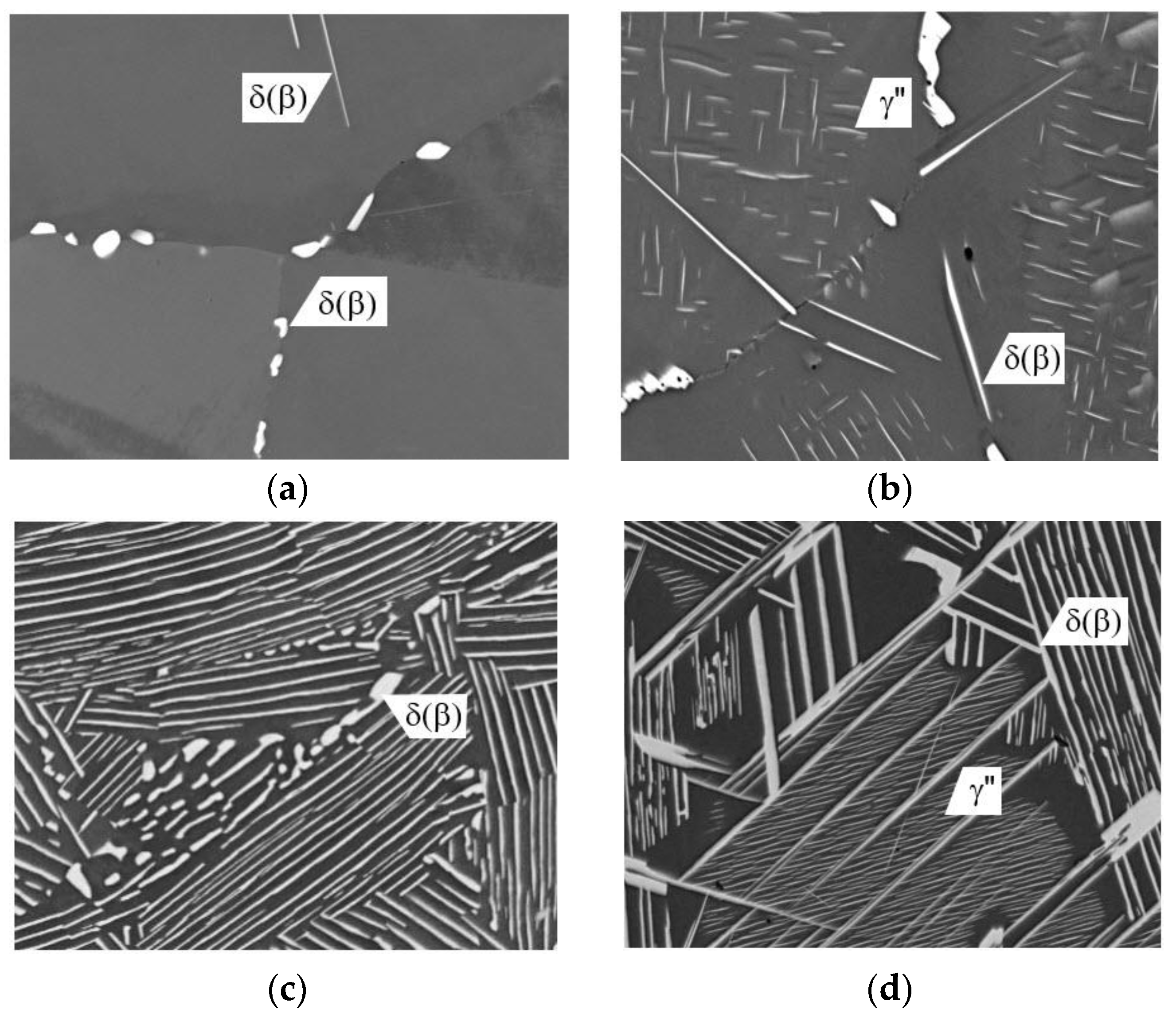 Metals 12 01251 g004a 550