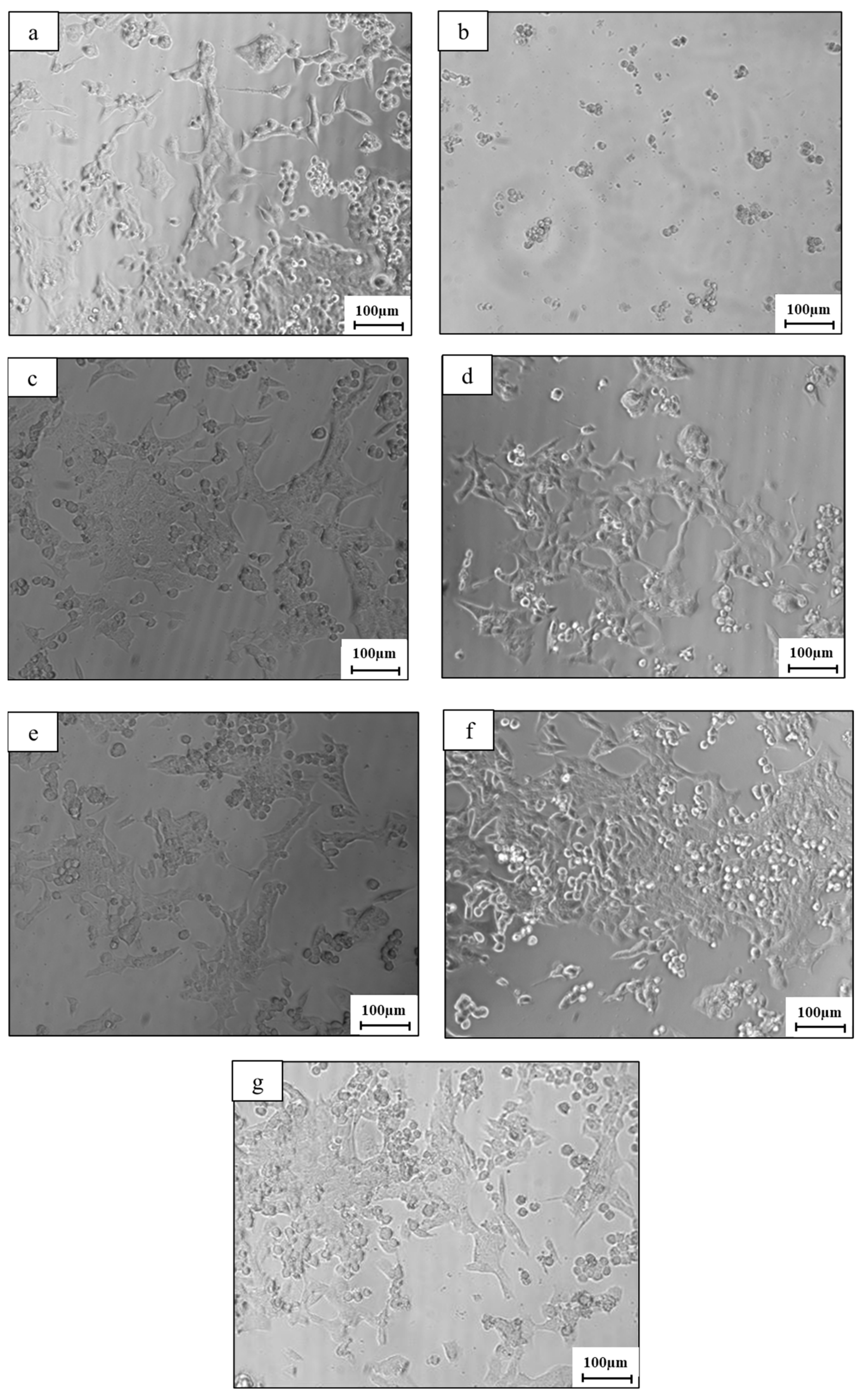 Metals 12 01291 g013