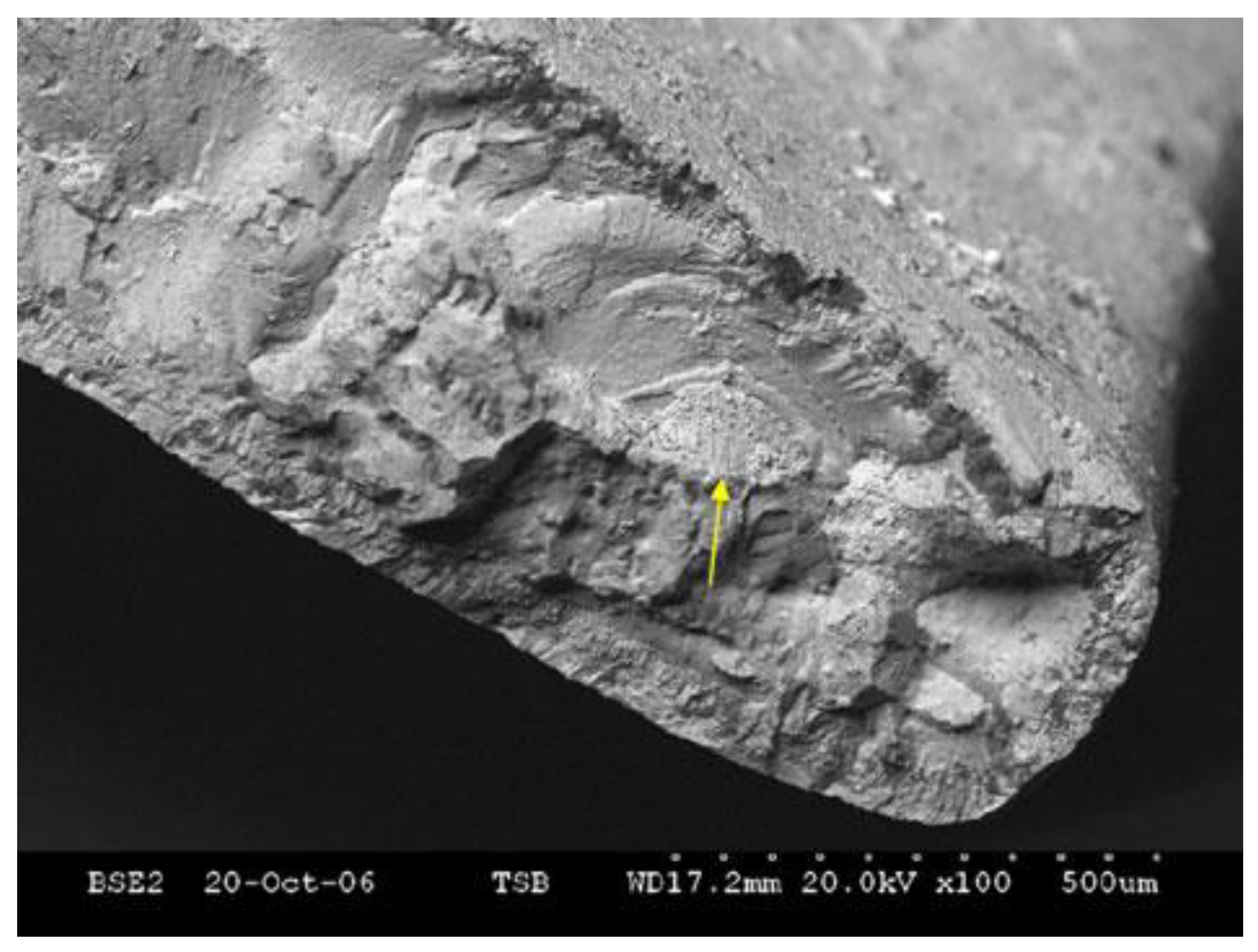 Metals 12 01320 g006 550