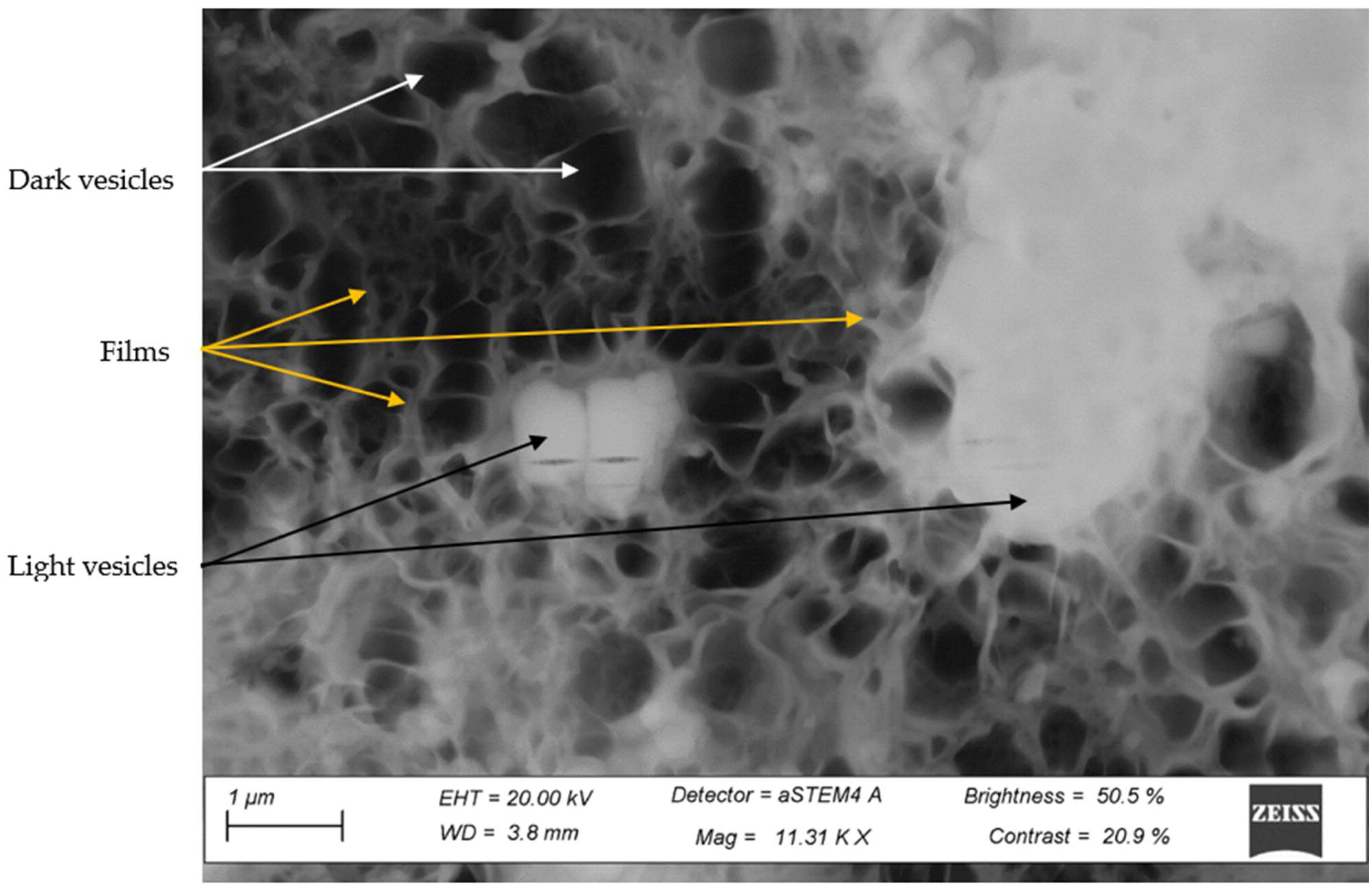 Metals 12 01400 g011