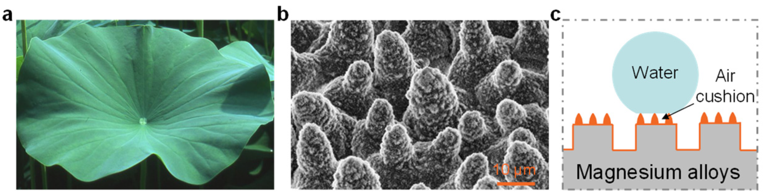 Metals 12 01404 g003 550