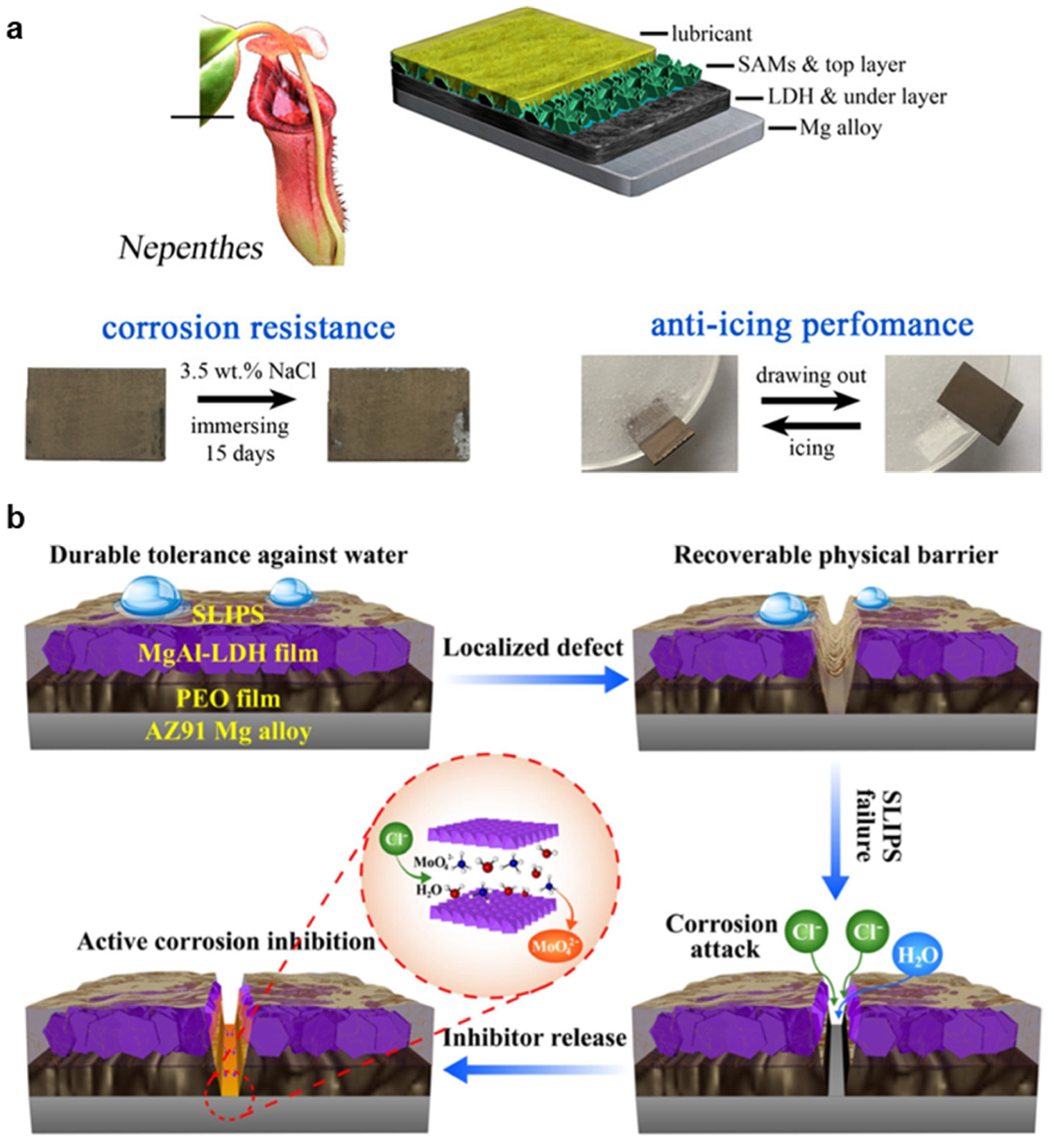 Metals 12 01404 g011 550