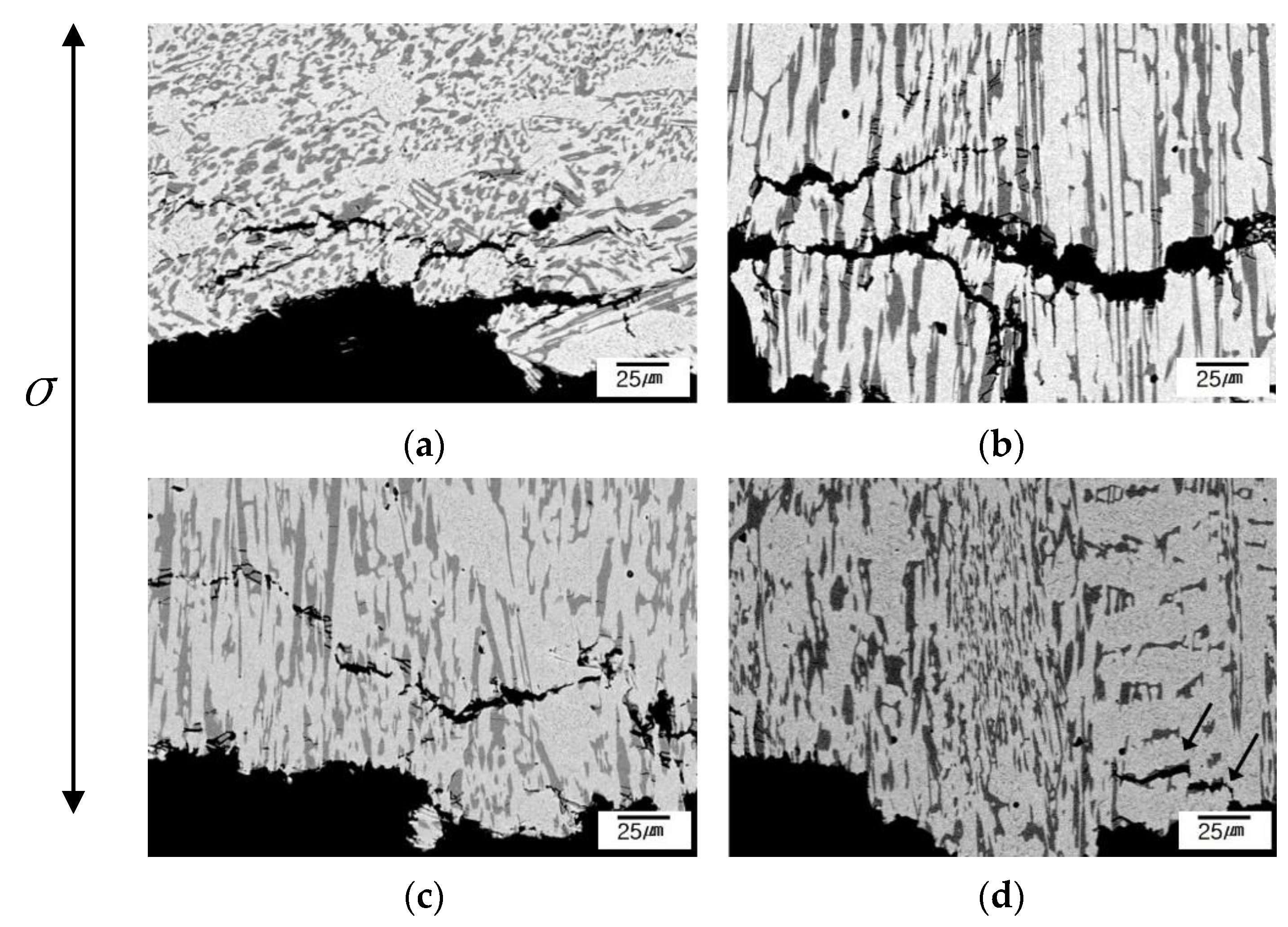 Metals 12 01416 g008 550