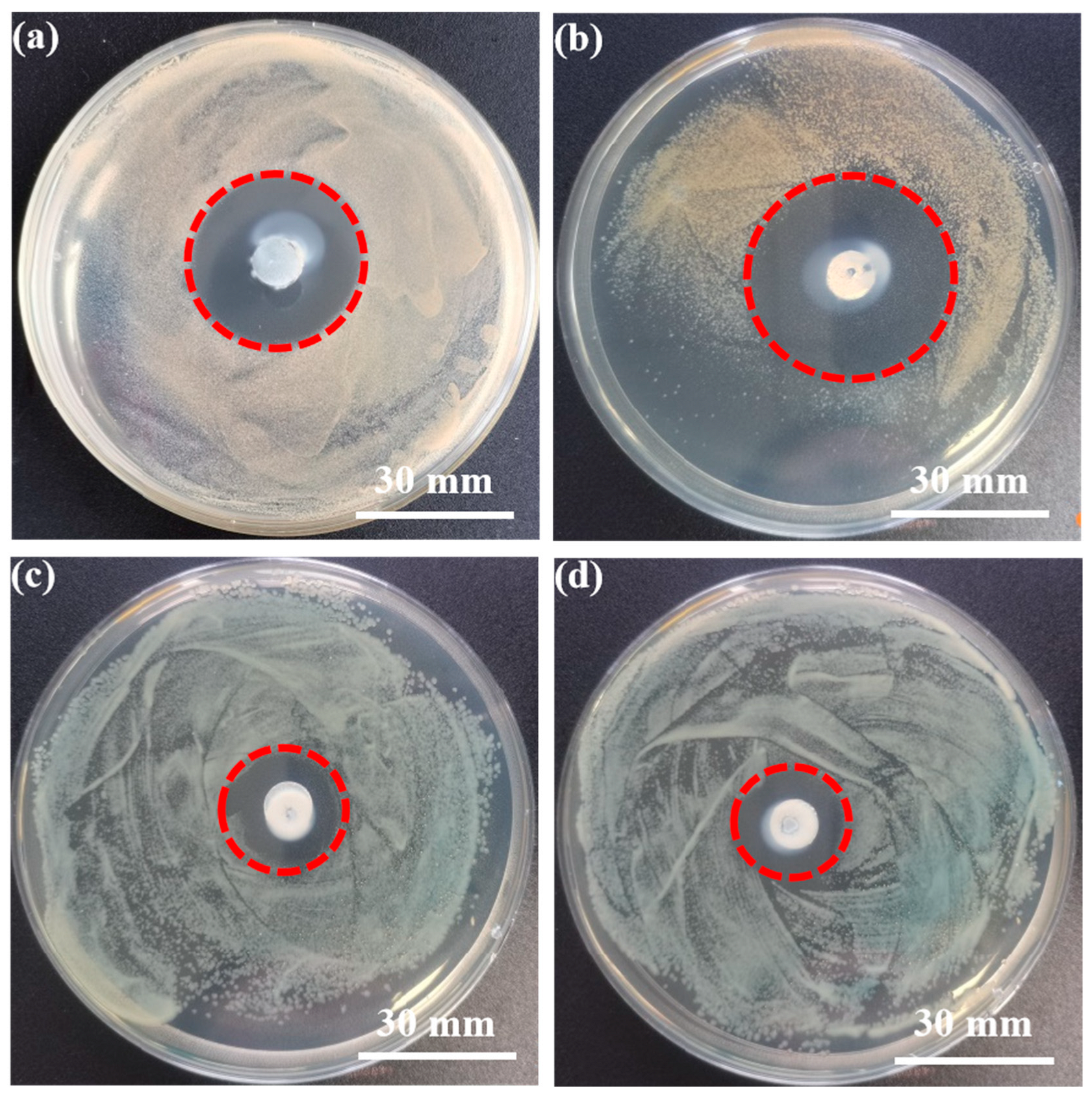 Metals 12 01444 g005 550