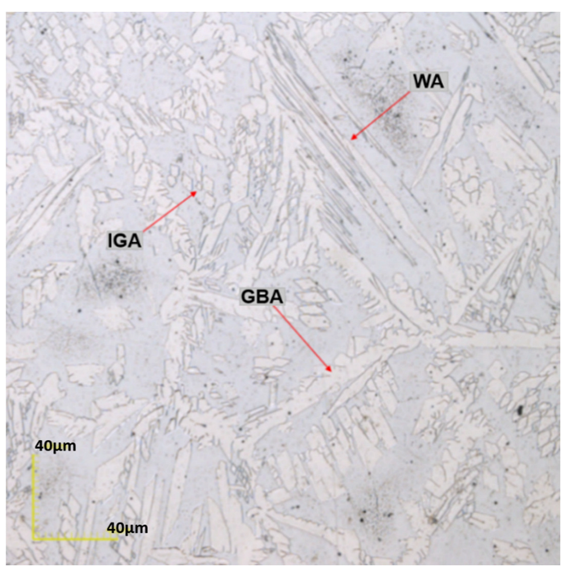 Metals 12 01450 g004 550